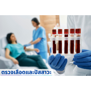 ตรวจเลือดและปัสสาวะ