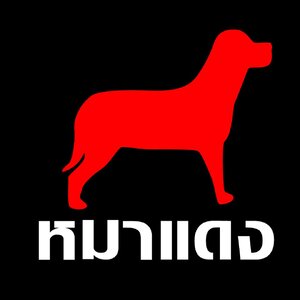 สินค้าขายดี(ของแท้)