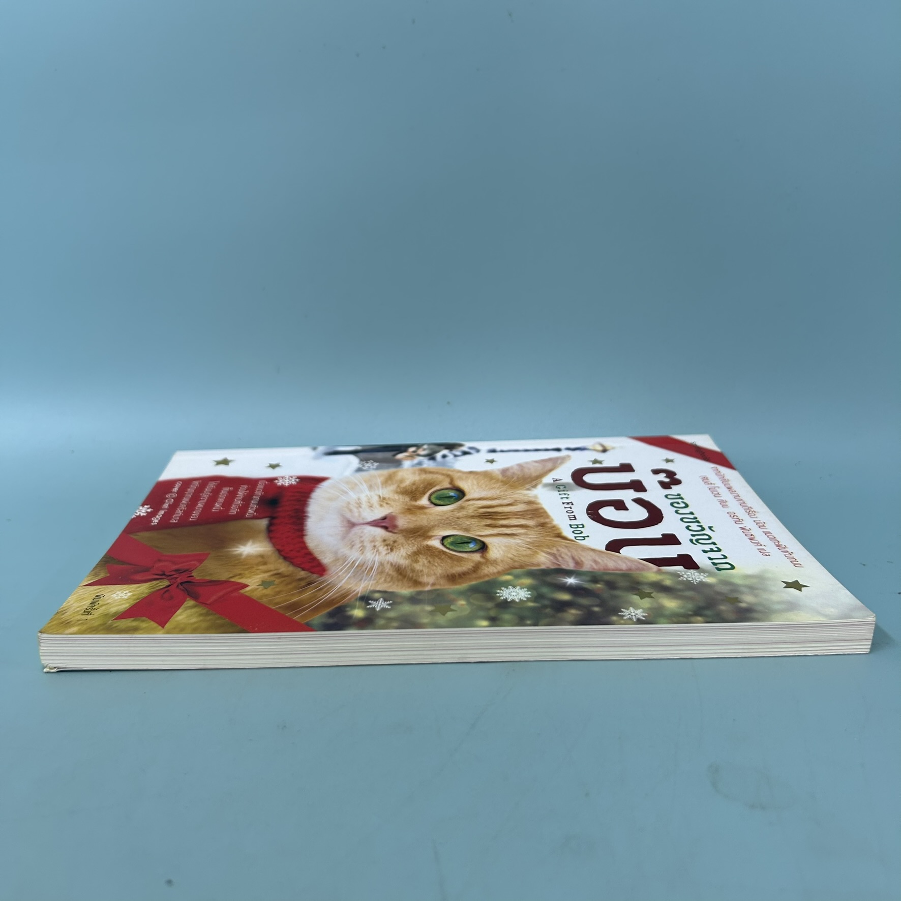 ของขวัญจากบ๊อบ / มือสอง / เจมส์ โนเวน / springbooks / นิยายแปล