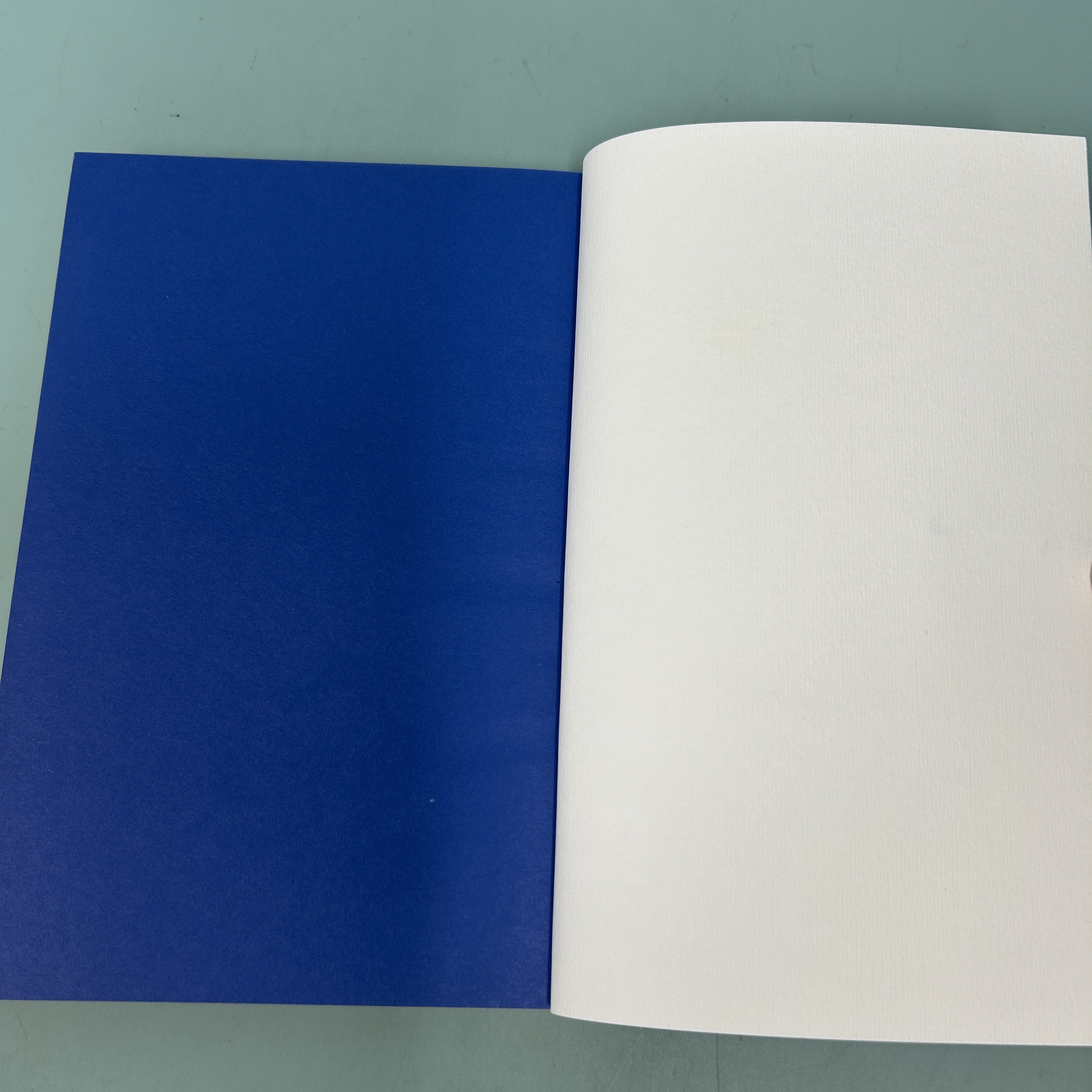 ย่องเบาเข้าญี่ปุ่น / มือสอง / โตมร ศุขปรีชา / Salmon / ประวัติศาสตร์