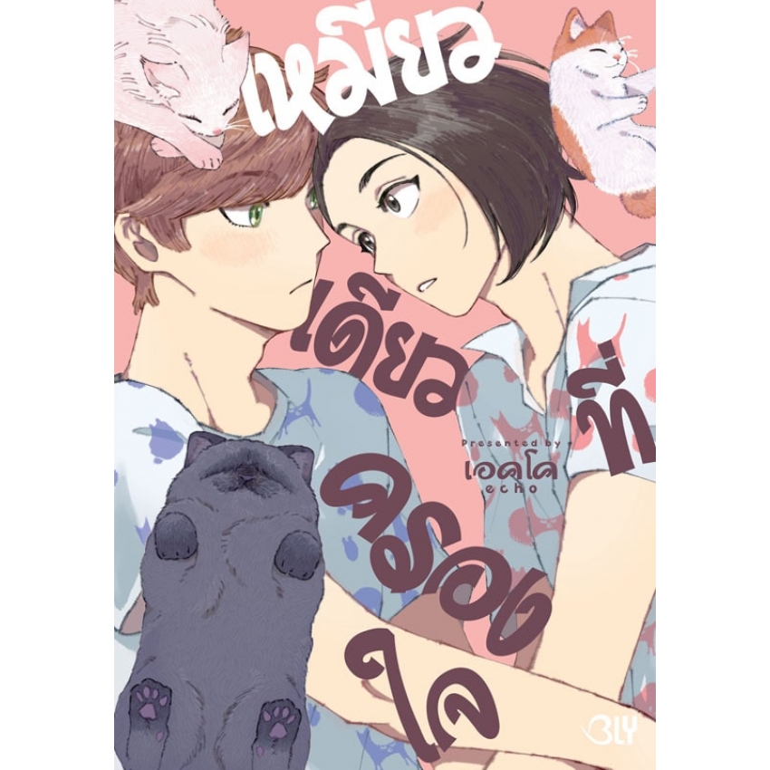 เหมียวเดียวที่ครองใจ (เล่มเดียวจบ) มือ 1 พร้อมส่ง