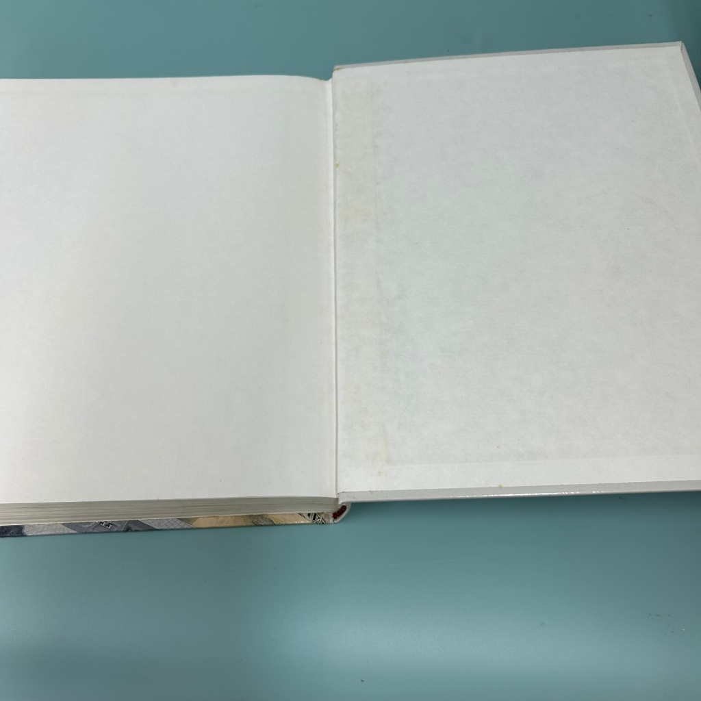 Global Financial Markets by Ian H. Giddy (Pre Owned) Textbook