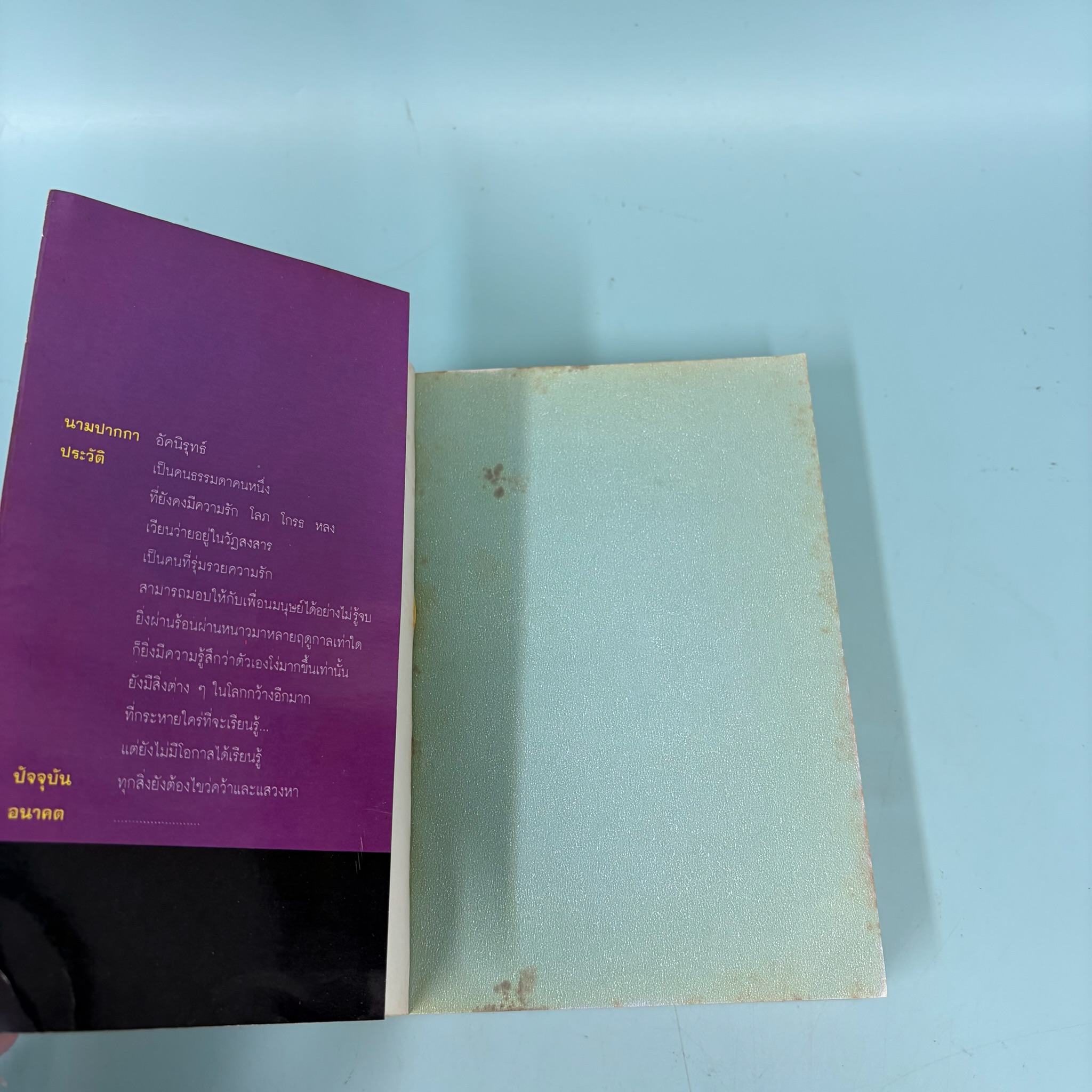 อินทรีปีศาจ /อัคนิรุทธ์/ มือสอง / ดอกหญ้า / นิยายสืบสวนสอบสวน