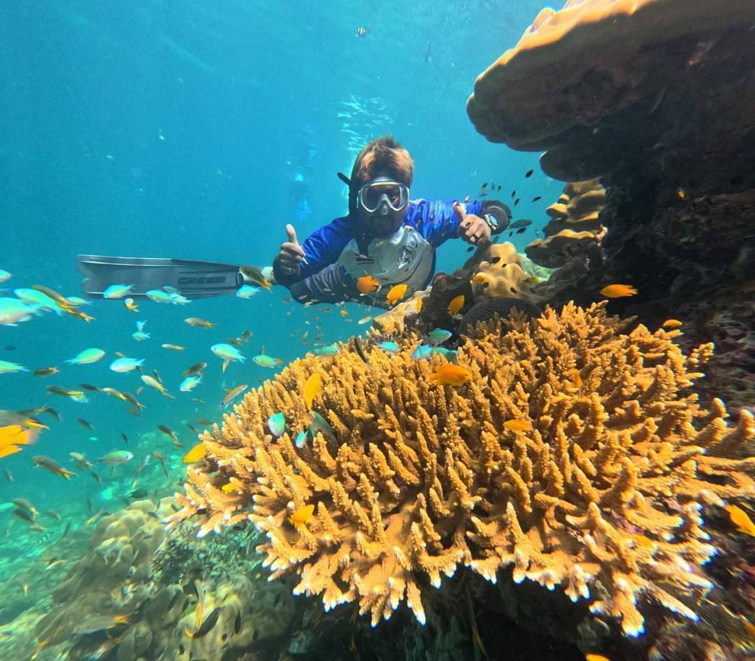 🐠 Koh Rok & Koh Ha Day Trip – A Paradise of Five Islands and Crystal Waters