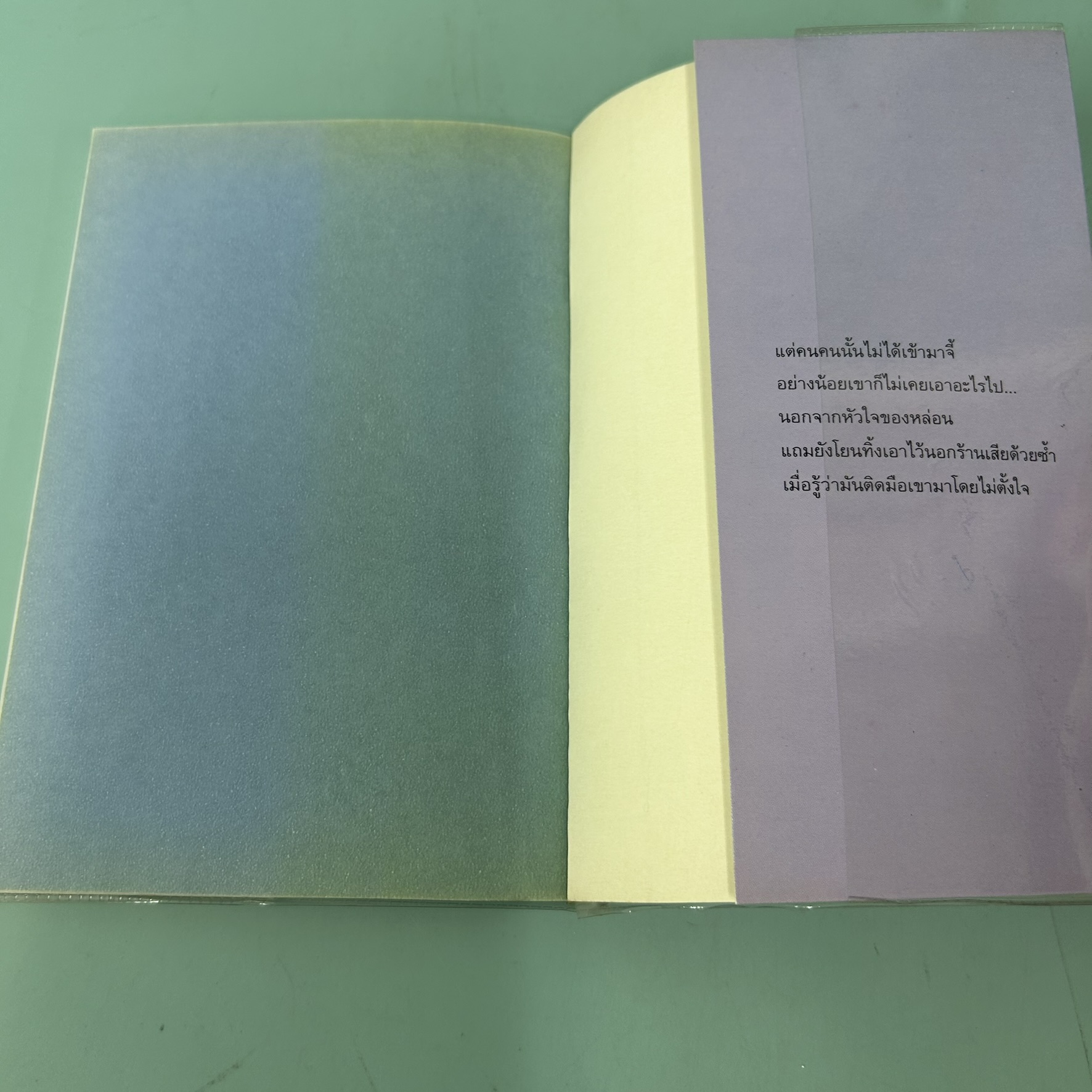 พญาปลา / มือสอง / แก้วเก้า / สำนักพิมพ์ ดอกหญ้า / นิยายโรแมนติก