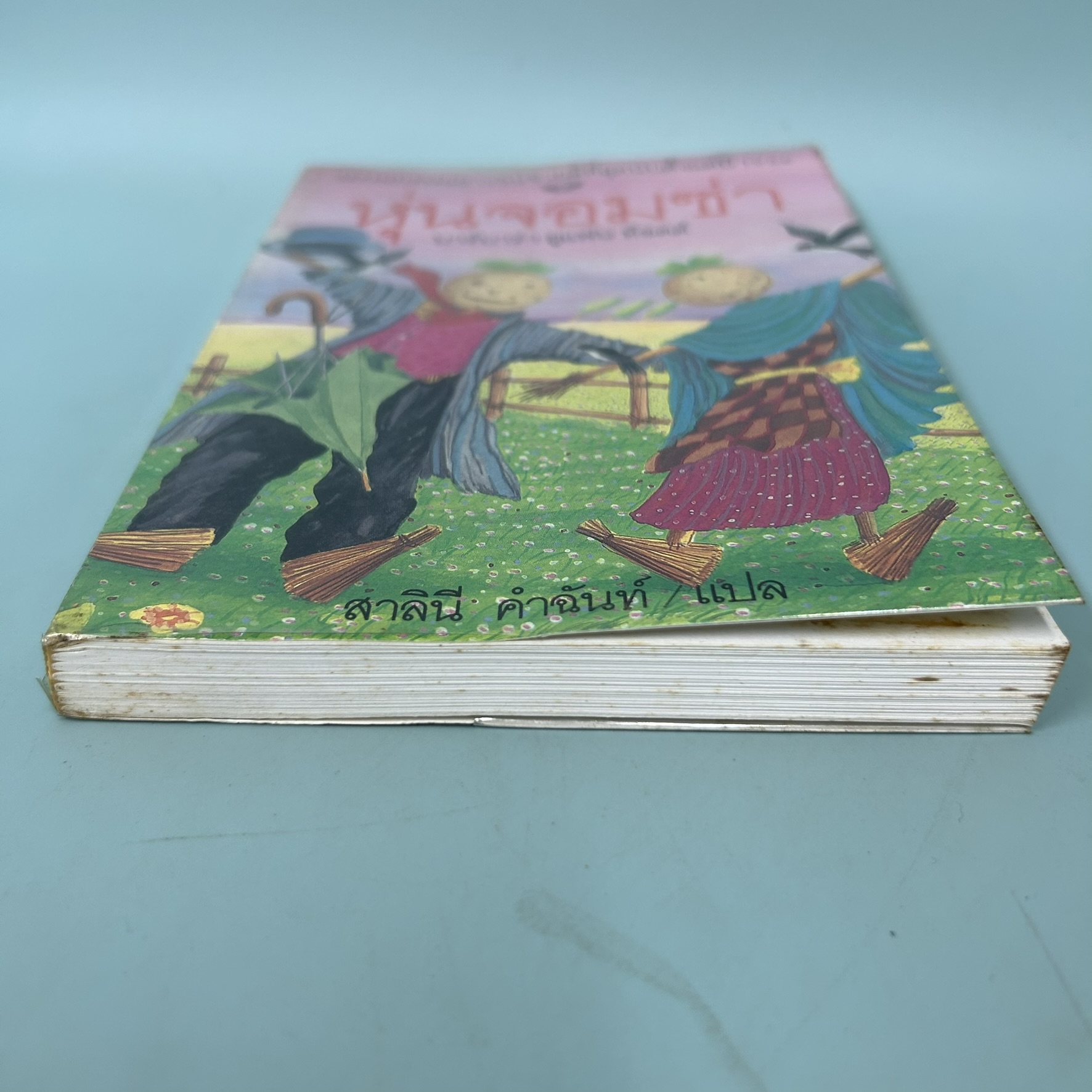 หุ่นจอมซ่า Worzel Gummidge / มือสอง / บาร์บาร่า ยูแฟน ท็อดด์ / สำนักพิมพ์ผีเสื้อ / วรรณกรรมเยาวชนแปล