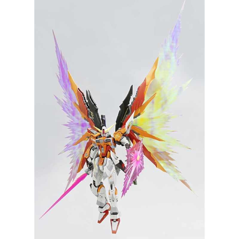 MG 1/100 Gundam Destiny Heine ver MB