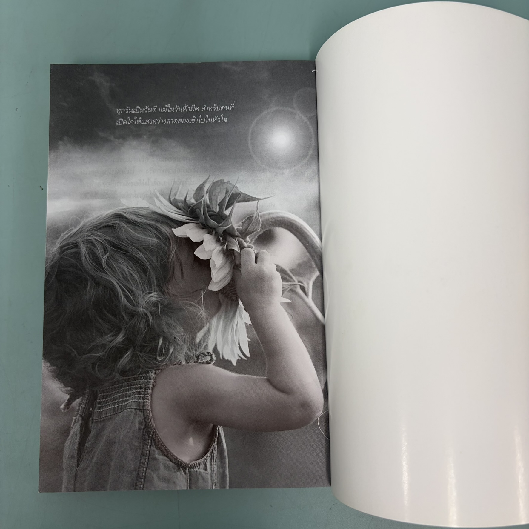 ท้องฟ้าไม่ปิดทุกวัน / มือสอง / วินทร์ เลียววาริณ / สำนักพิมพ์ 113 / นิยาย