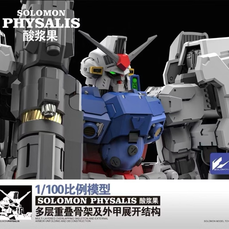 Solomon Model : MG 1/100 Physalis