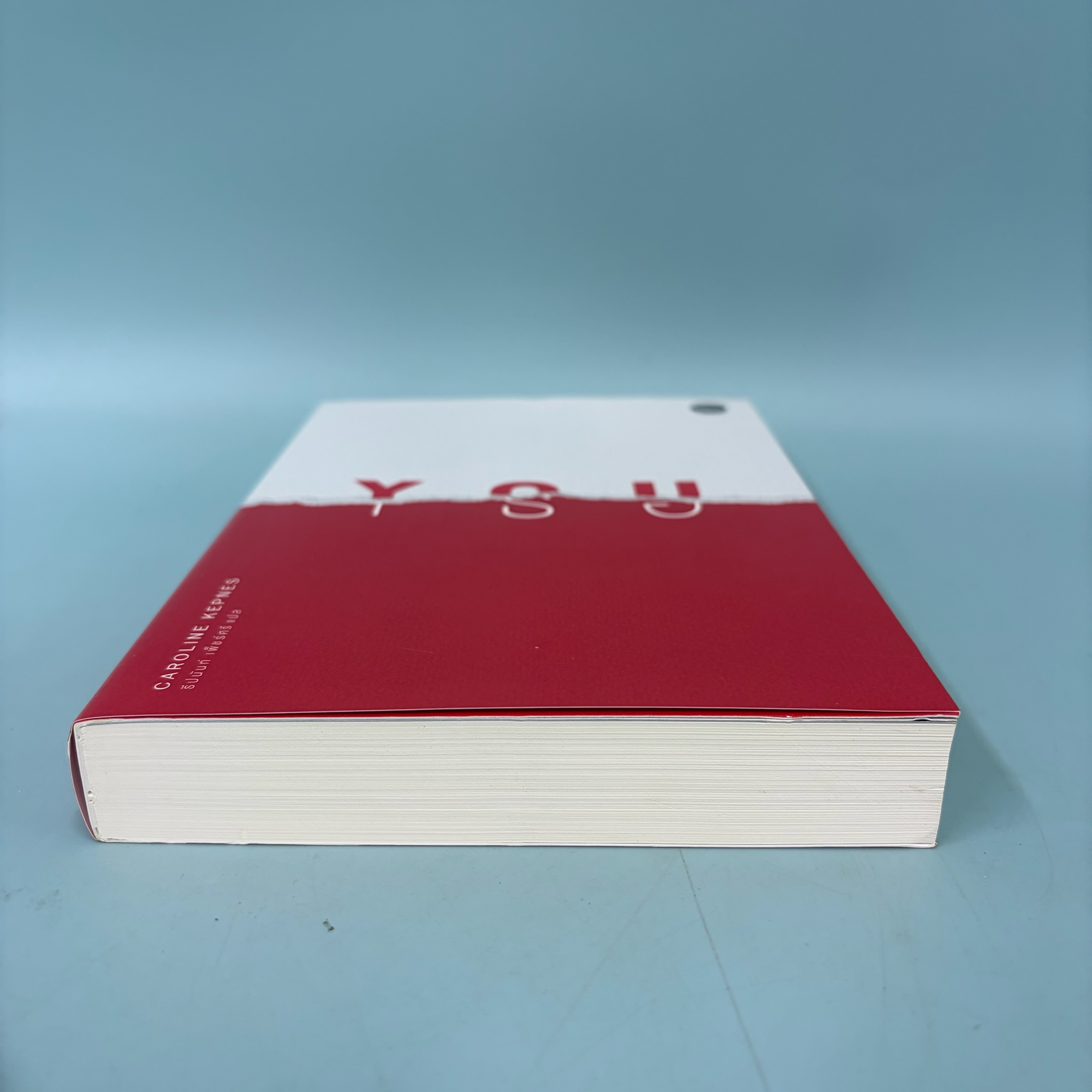 YOU เธอ / มือสอง / Caroline Kepnes แคโรไลน์ เคปเนส / นิยายแปล วรรณกรรม / แมร์รี่โกราวด์