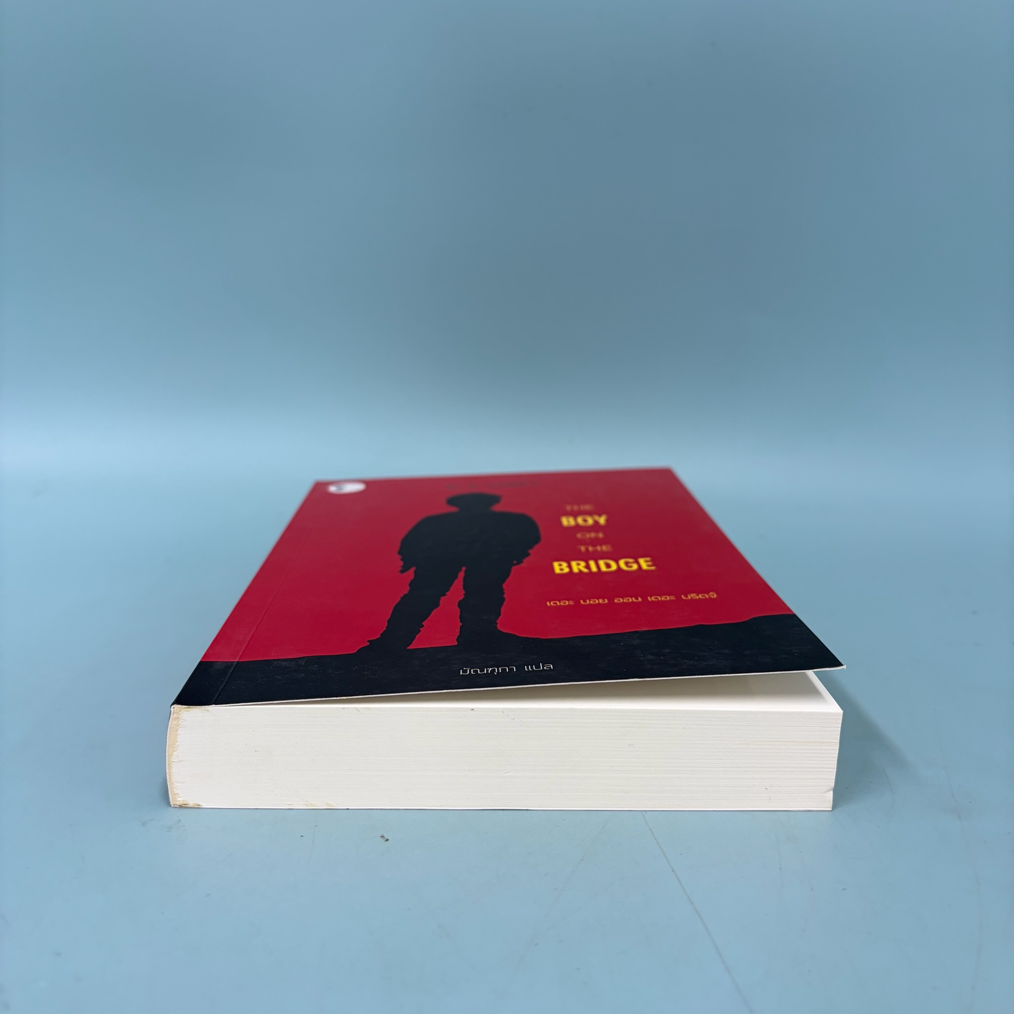 THE BOY ON THE BRIDGE เดอะ บอย ออน เดอะ บริดจ์ / มือสอง / เอ็ม.อาร์ แครีย์ / เอิร์นเนส พับลิชชิ่ง / นิยาย แฟนตาซี