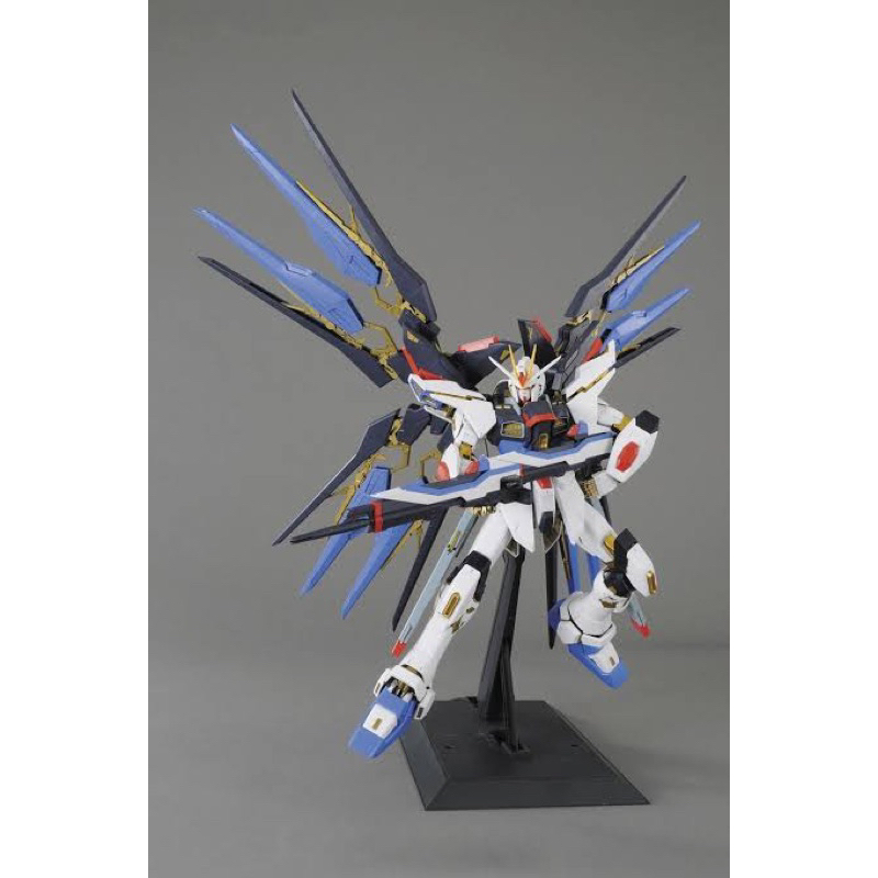 PG BANDAI ZGMF-X20A Strike Freedom Gundam
