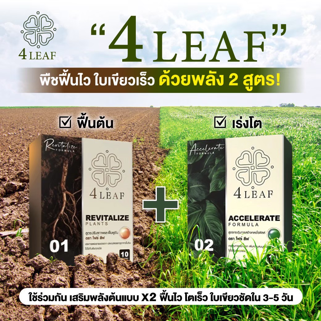 โฟร์ลีฟ 4LEAF Revitalize อาหารเสริมพืช ฟื้นต้นโทรม เร่งราก ใบเขียว ปรับสภาพดิน ดินร่วนซุย ปุ๋ยฉีดพ่น