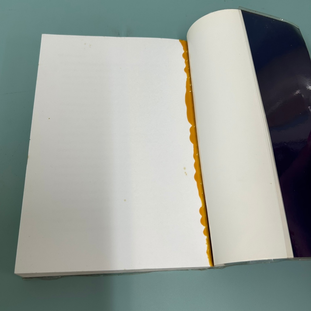 แบรนด์ วอร์ริเออร์ส: กลยุทธ์สร้างตราสินค้าเพื่อความสำเร็จระดับโลก / Fiona Gilmore/ มือสอง ธุรกิจ