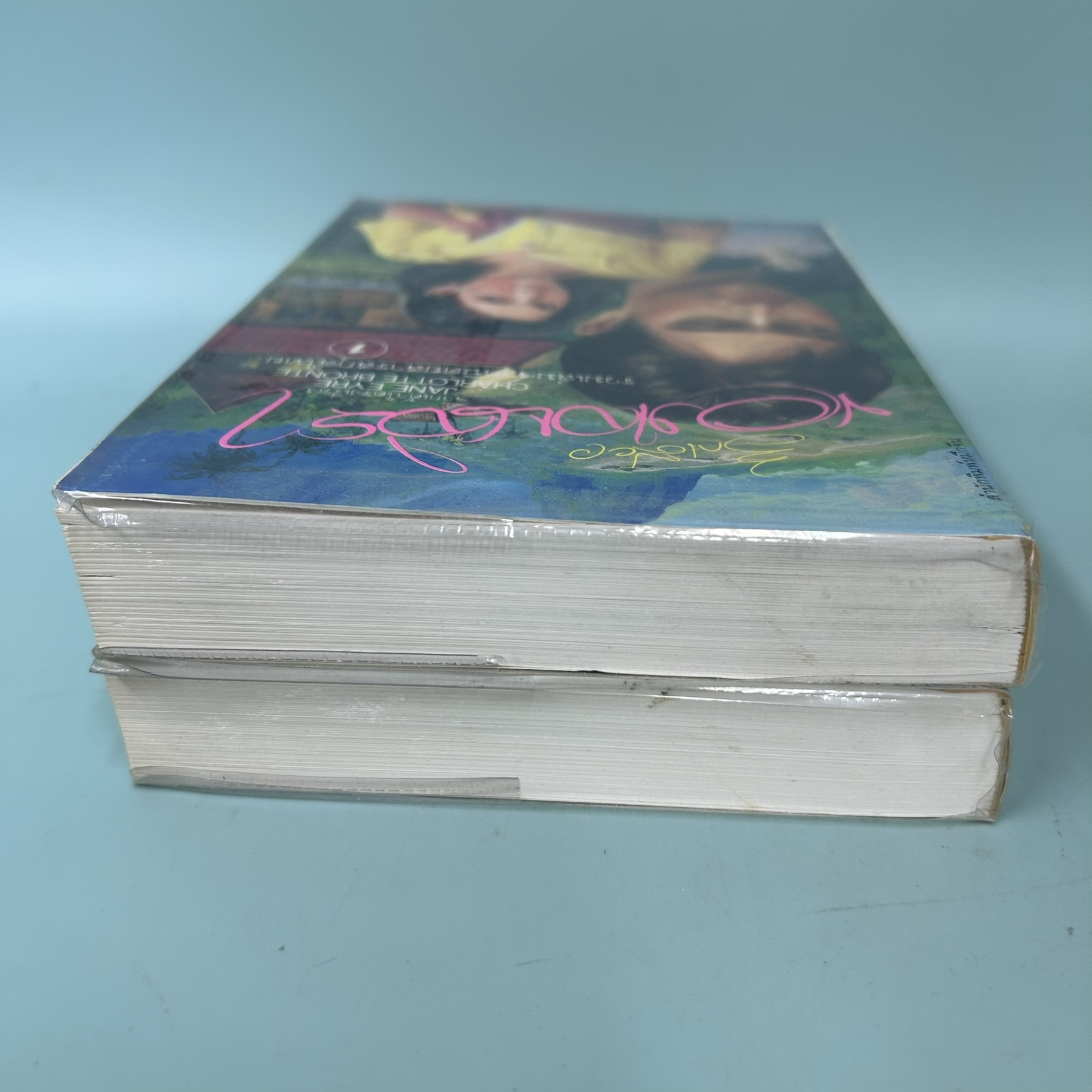 รักเดียวของเจนจิรา 1-2 เล่มจบ / มือสอง / นิดา / สำนักพิมพ์หมึกจีน / นวนิยาย