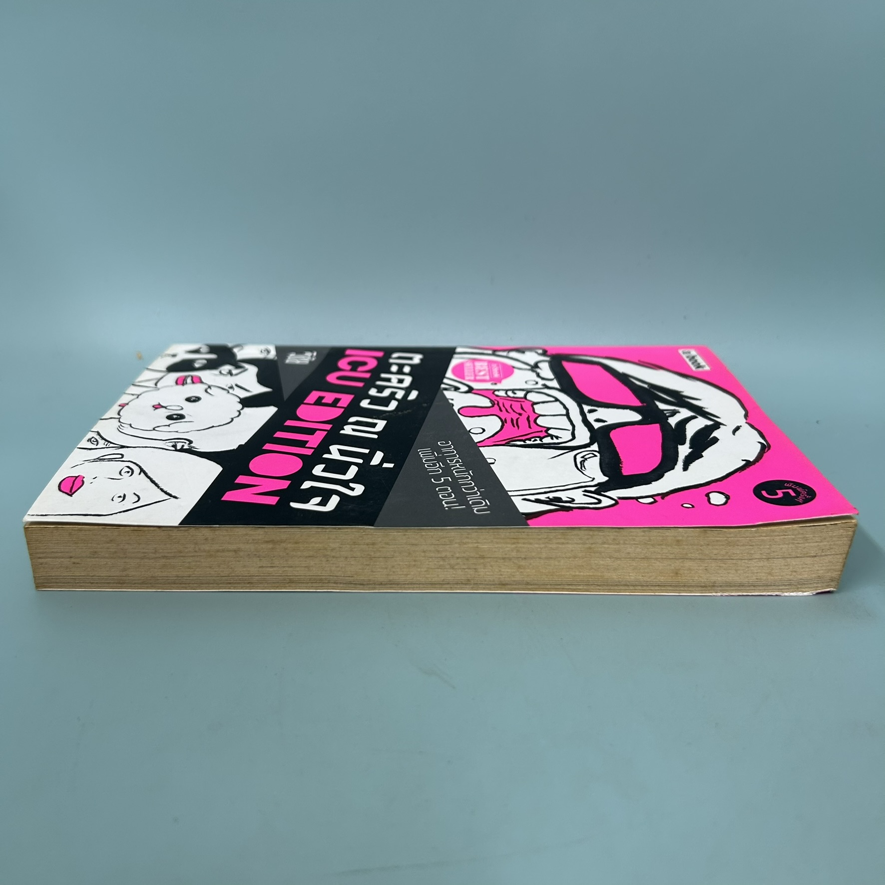 ตะคริว ณ นิ่วใจ / มือสอง / วิชัย / a book / วรรณกรรม เรื่องสั้น