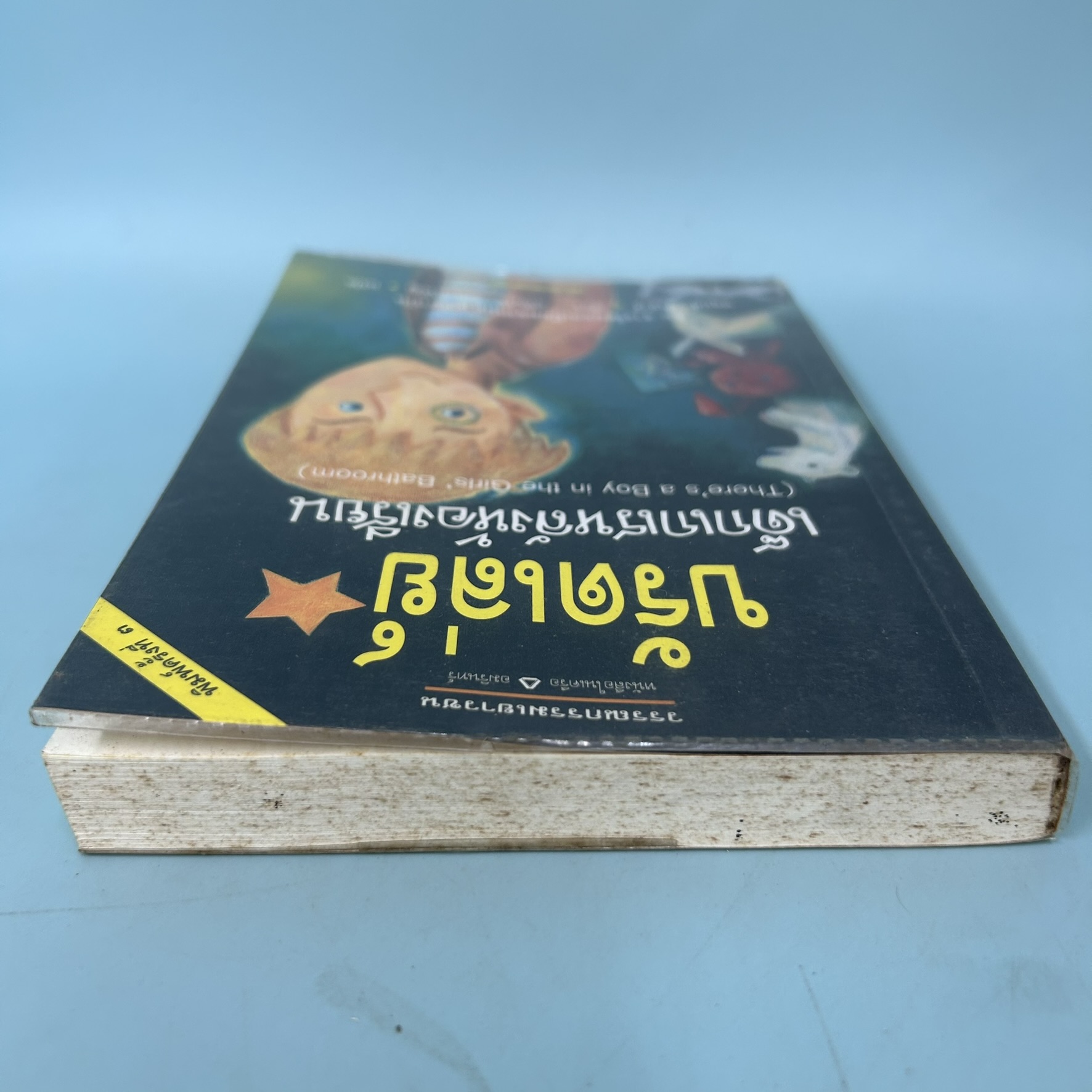 บรัดเล่ย์ เด็กเกเรหลังห้องเรียน / หลุยส์ ซัคเกอร์ / มือสอง / อมรินทร์ / วรรณกรรมแปล