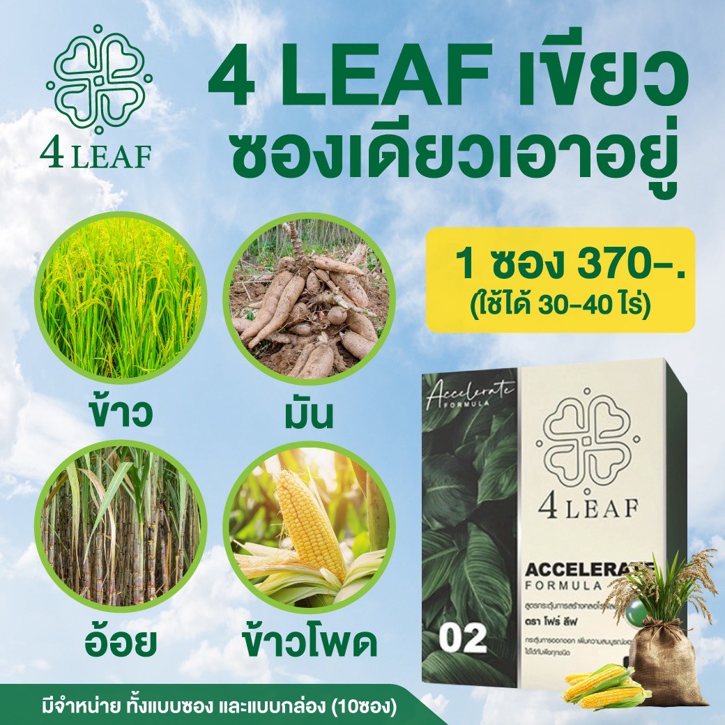 4 LAEF โฟร์ลีฟ อาหารเสริมพิช ปุ๋ยเร่งผลผลิต ปุ๋ยชีวภาพ ปุ๋ยเร่งโต กรดฮิวมิก ปุ๋ยอินทรีย์ ปุ๋ยพืช ปุ๋ยผัก ปุ๋ยผลไม้ ปุ๋ยไม้ดอก ฟื้นฟูพืช ปุ๋ยคุณภาพ ปุ๋ยราคาดี ปุ๋ยส่งฟรี