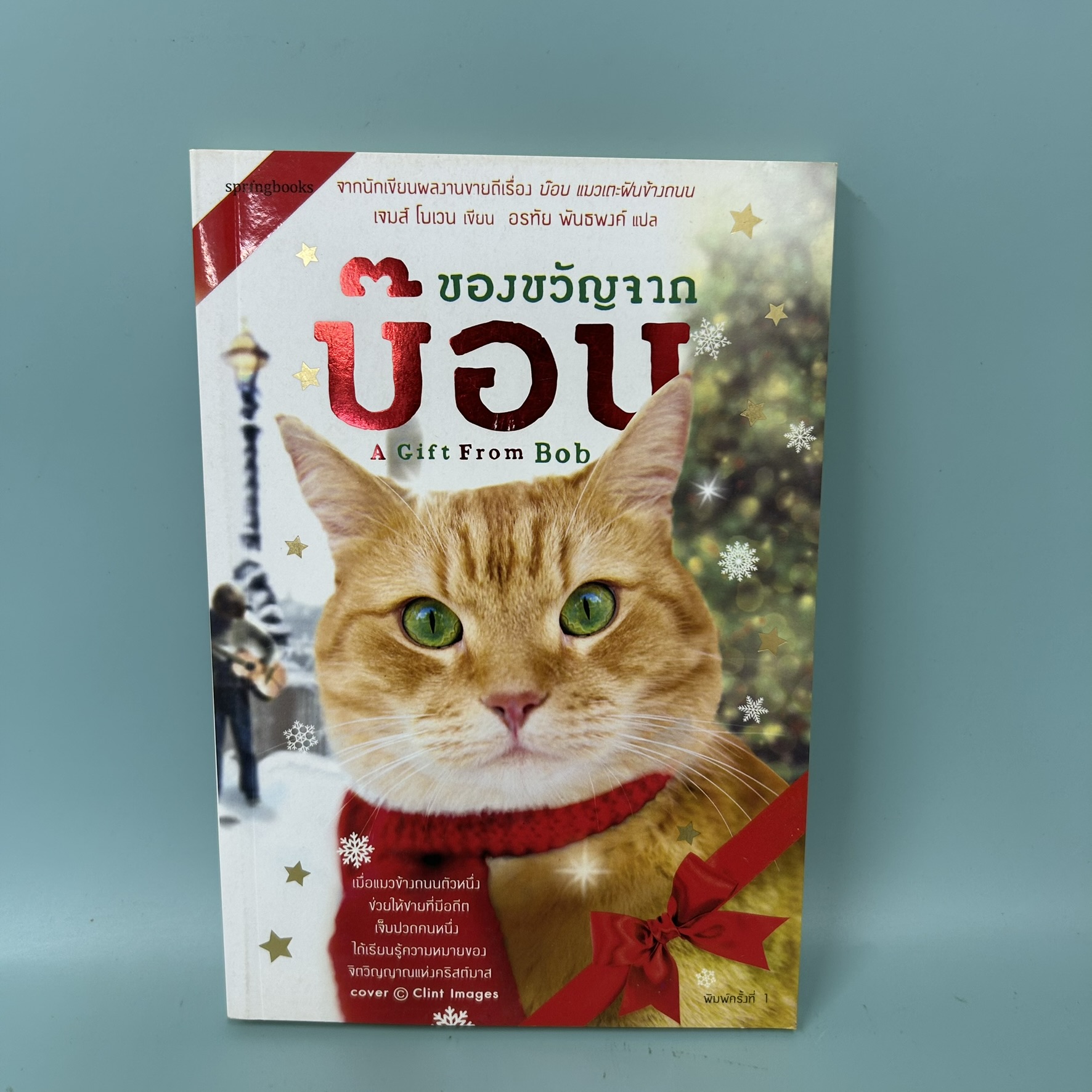 ของขวัญจากบ๊อบ / มือสอง / เจมส์ โนเวน / springbooks / นิยายแปล