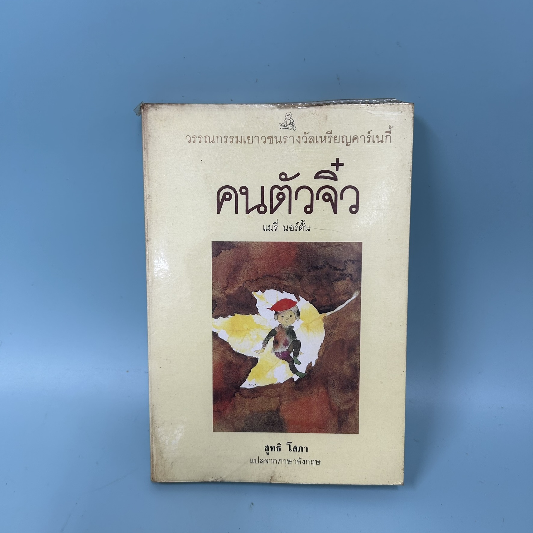คนตัวจิ๋ว / มือสอง / แมรี่ นอร์ตั้น / สำนักพิมพ์หนังสือเยาวชน / วรรณกรรมแปล