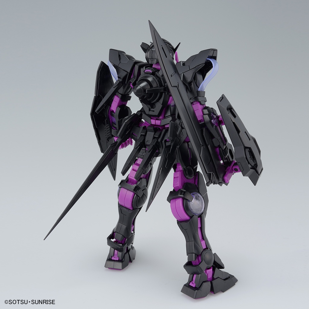 MG BANDAI NG-001 Gundam EXIA ECOPLA