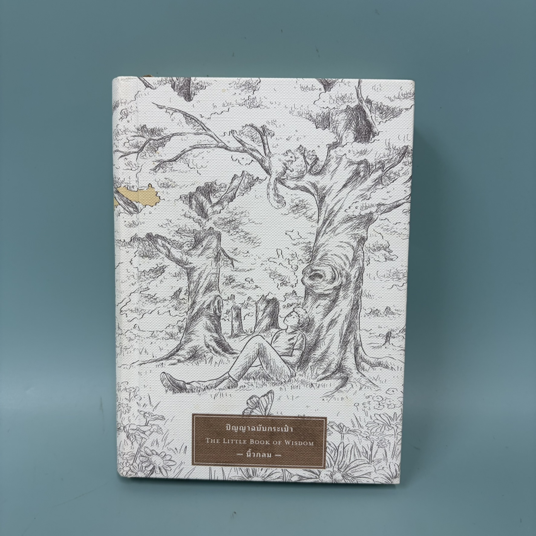 ปัญญาฉบับกระเป๋า THE LITTLE BOOK OF WISDOM / มือสอง / นิ้วกลม / KOOB / การพัฒนาตัวเอง ปกแข็ง