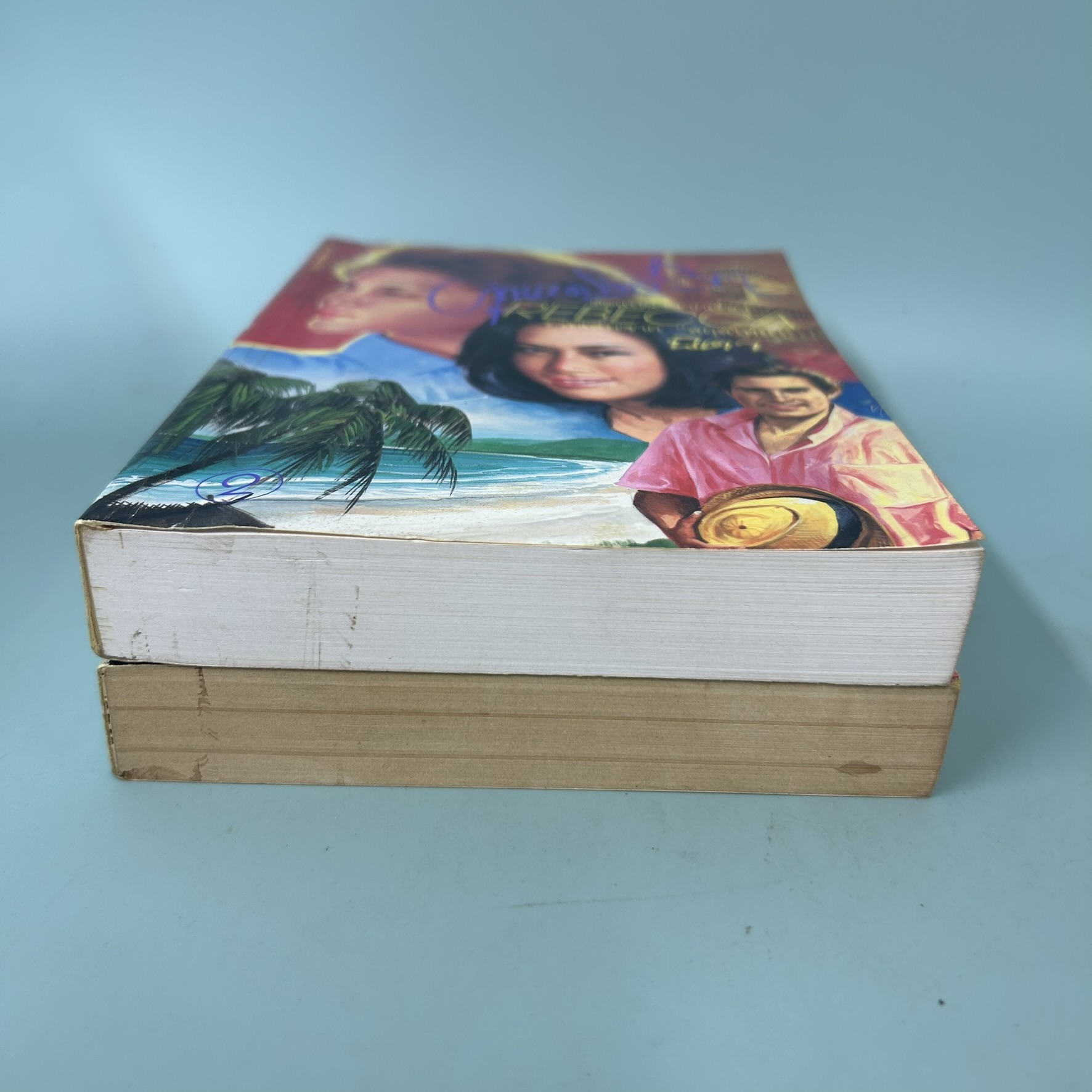 ชุด คุณหญิงสีวิกา เล่ม 1-2 จบ / มือสอง / นิดา / สำนักพิมพ์ หมึกจีน / วรรณกรรม