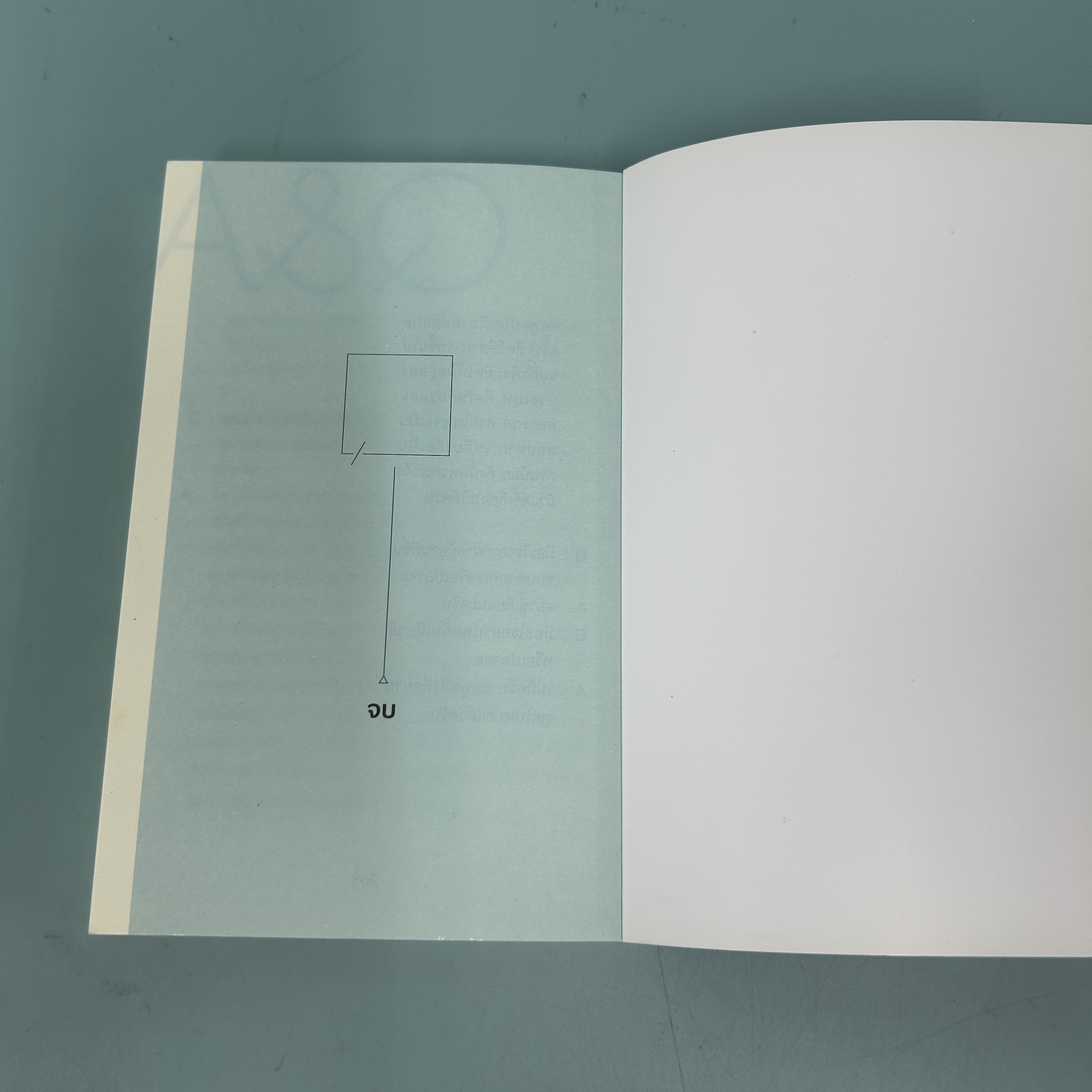 ฉันไม่ชอบทั้งโลก ฉันชอบแค่เธอคนเดียว ฉบับนิยาย ... เฉียวยี (มือสอง) นิยายแปล นิยายจีนแปล