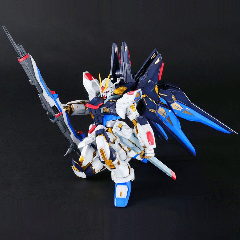 PG BANDAI ZGMF-X20A Strike Freedom Gundam