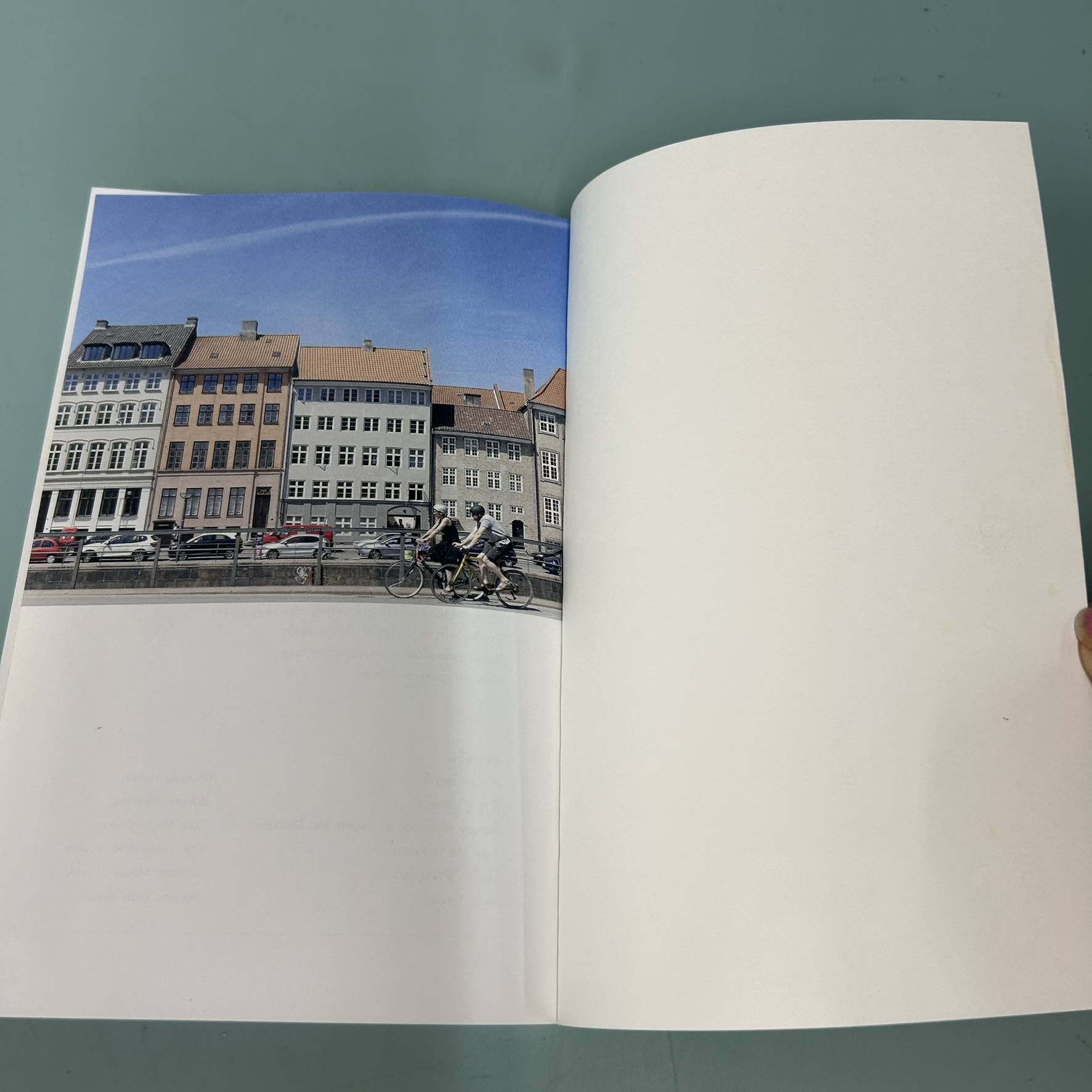 เจแปนดิเนเวีย / มือสอง / ปาลิดา พิมพะกร / ซันเดย์อาฟเตอร์นูน / หนังสือท่องเที่ยว