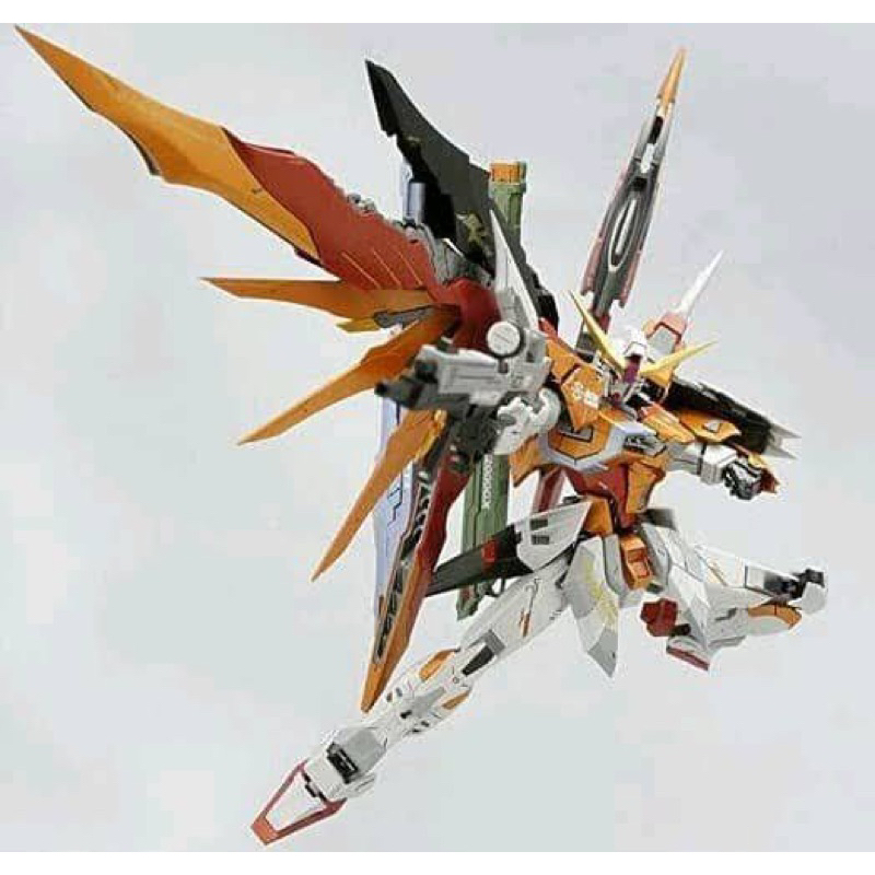 MG 1/100 Gundam Destiny Heine ver MB