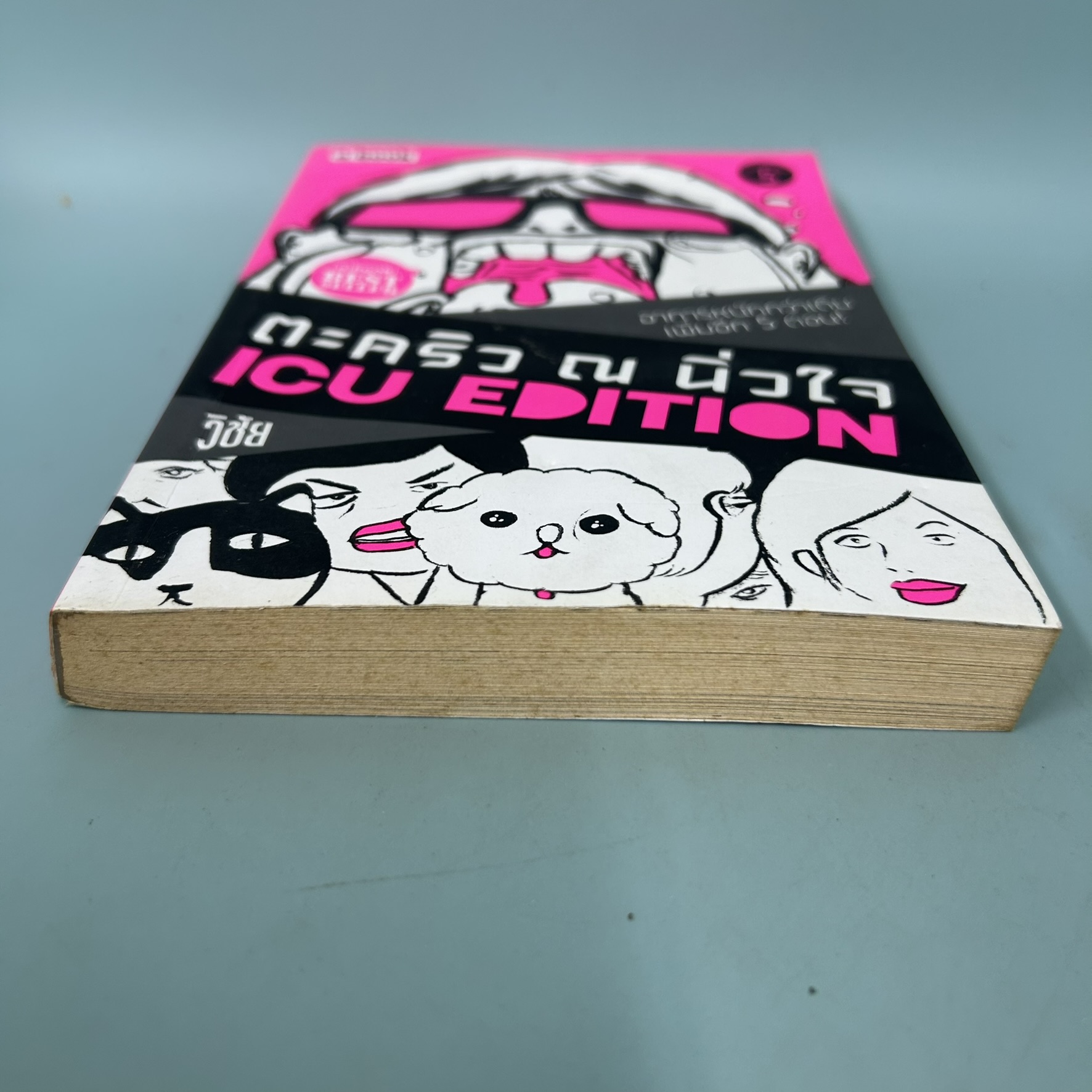 ตะคริว ณ นิ่วใจ / มือสอง / วิชัย / a book / วรรณกรรม เรื่องสั้น