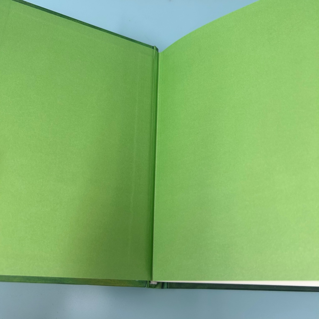 ไดอารี่ของ เด็กไม่เอาถ่าน ตอน เสียทีร็อดดริก และ ตอน ฟางเส้นสุดท้าย (มือสอง) วรรณกรรมเยาวชน