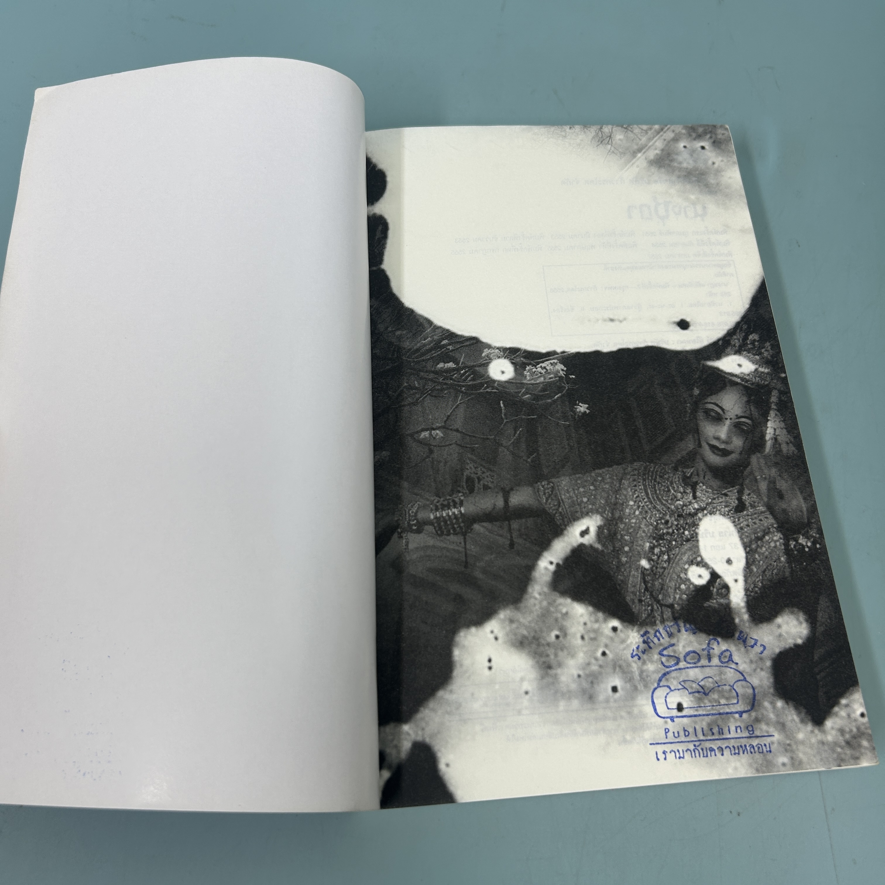 นางชฎา / มือสอง / ภาคินัย / sofa / นิยายสืบสวนสอบสวน นิยายลี้ลับ