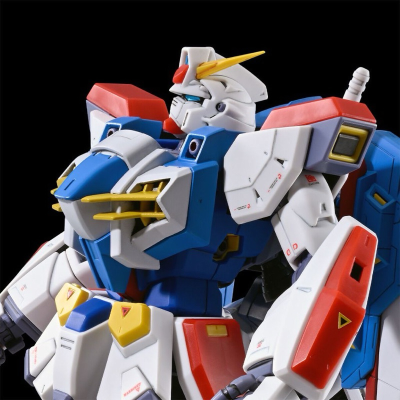 MG PREMIUM BANDAI Gundam F90 N-Type