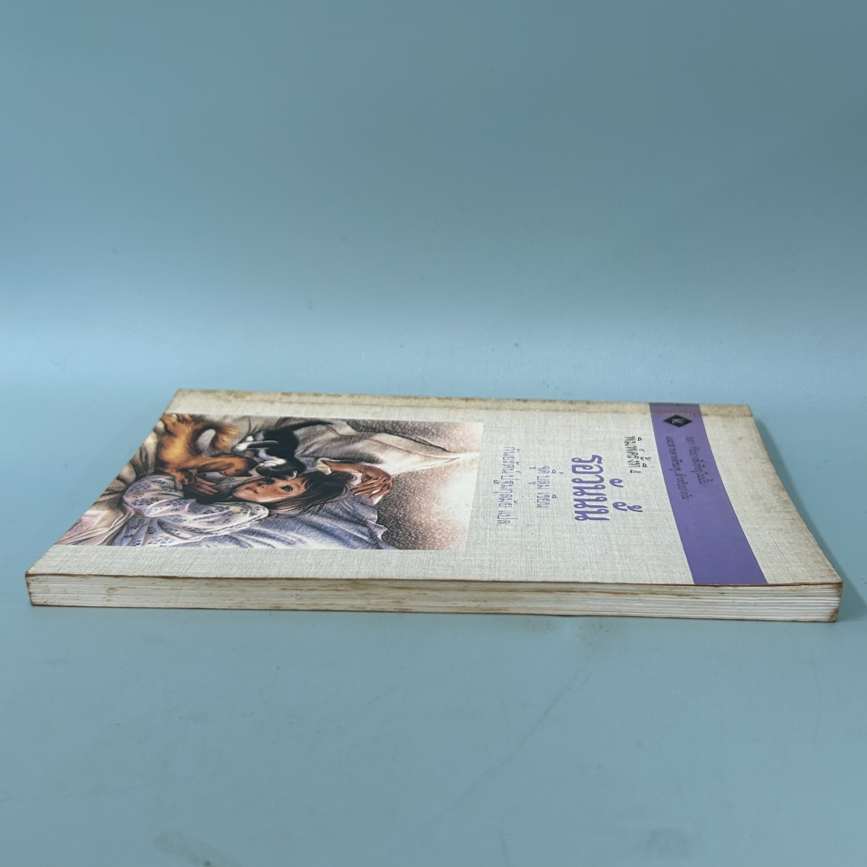 รอวันนั้น / มือสอง / จูดี้ บลูม / สำนักพิมพ์กันยา / วรรณกรรมเยาวชน