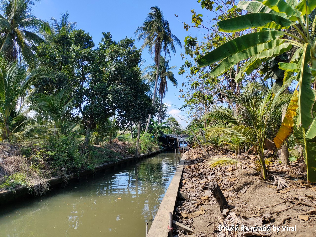 ขายรีสอร์ท ดำเนินสะดวก ราชบุรี “เรือนไทย รีสอร์ท” ขนาดที่ดิน 8 ไร่ 3 งาน 93 ตร.ว. 99 ล้าน (ราคาต่อรองได้พร้อมจบ)