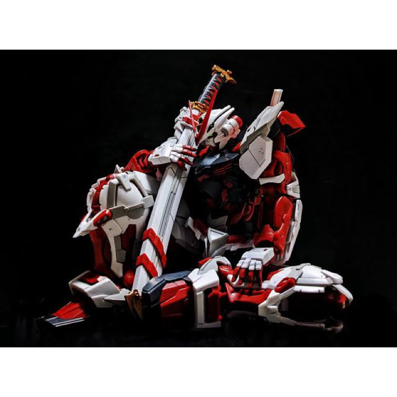 HiRM BANDAI Gundam Astray Red Frame