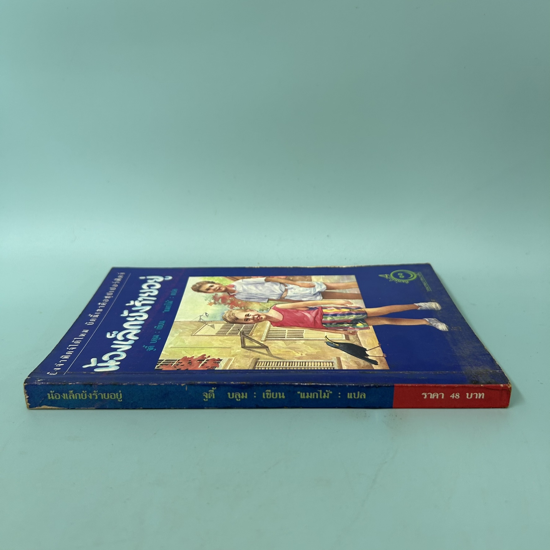 น้องเล็กยังร้ายอยู่ / มือสอง / จูดี้ บลูม / สำนักพิมพ์บานชื่น / วรรณกรรมเยาวชน