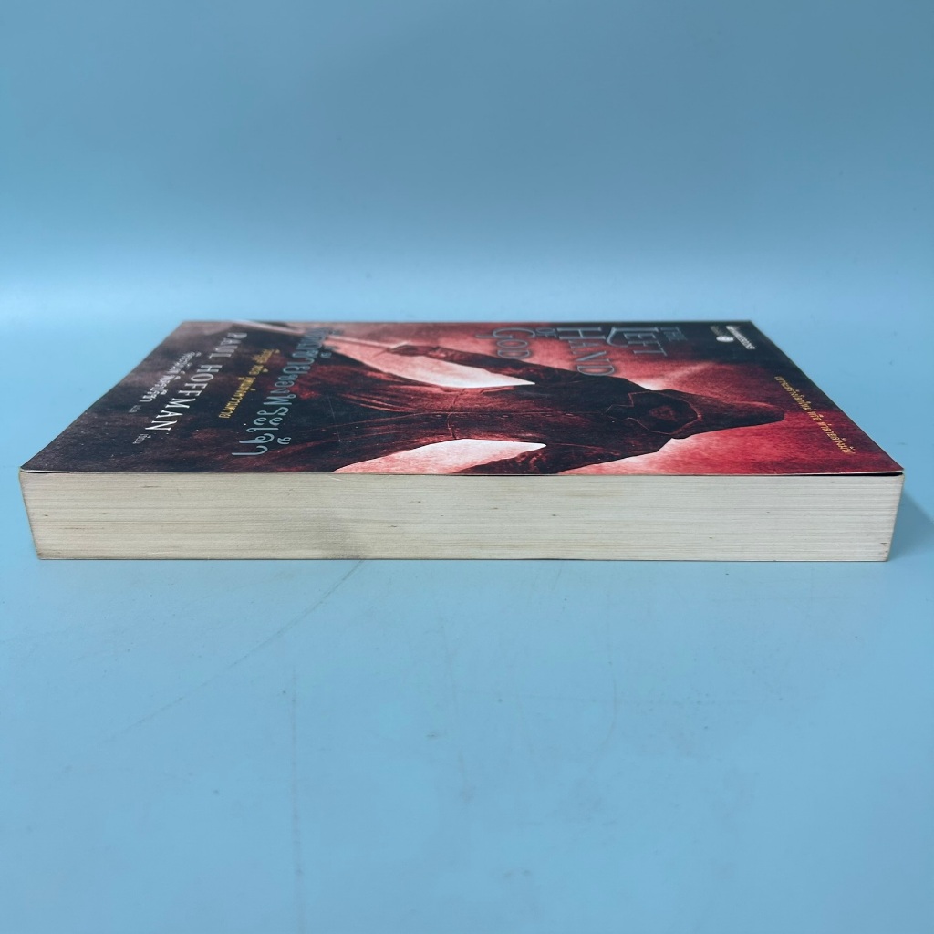 หัตถ์ซ้ายของพระเจ้า / มือสอง / nanmeebooks / นิยายแฟนตาซี นิยายแปล