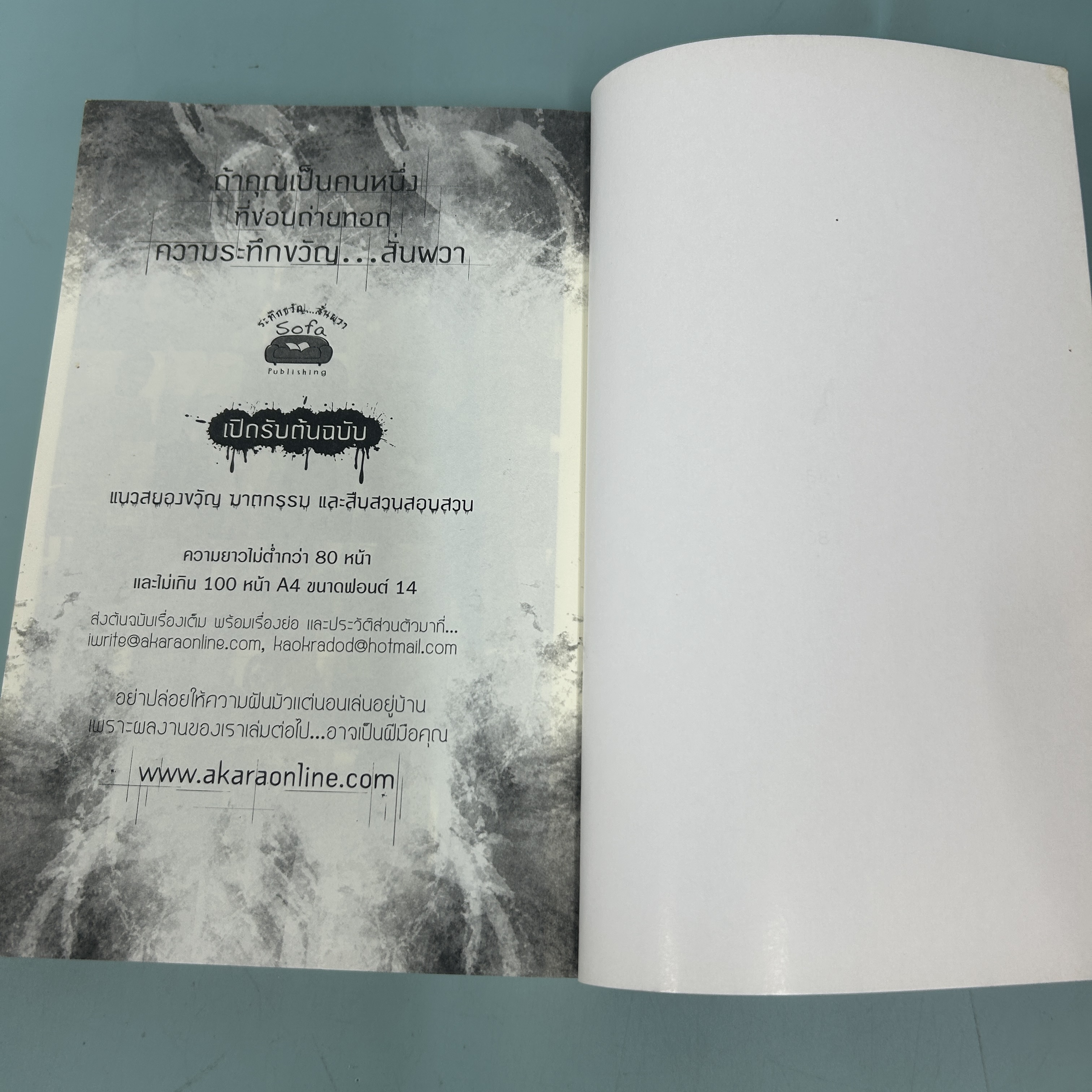 นางชฎา / มือสอง / ภาคินัย / sofa / นิยายสืบสวนสอบสวน นิยายลี้ลับ