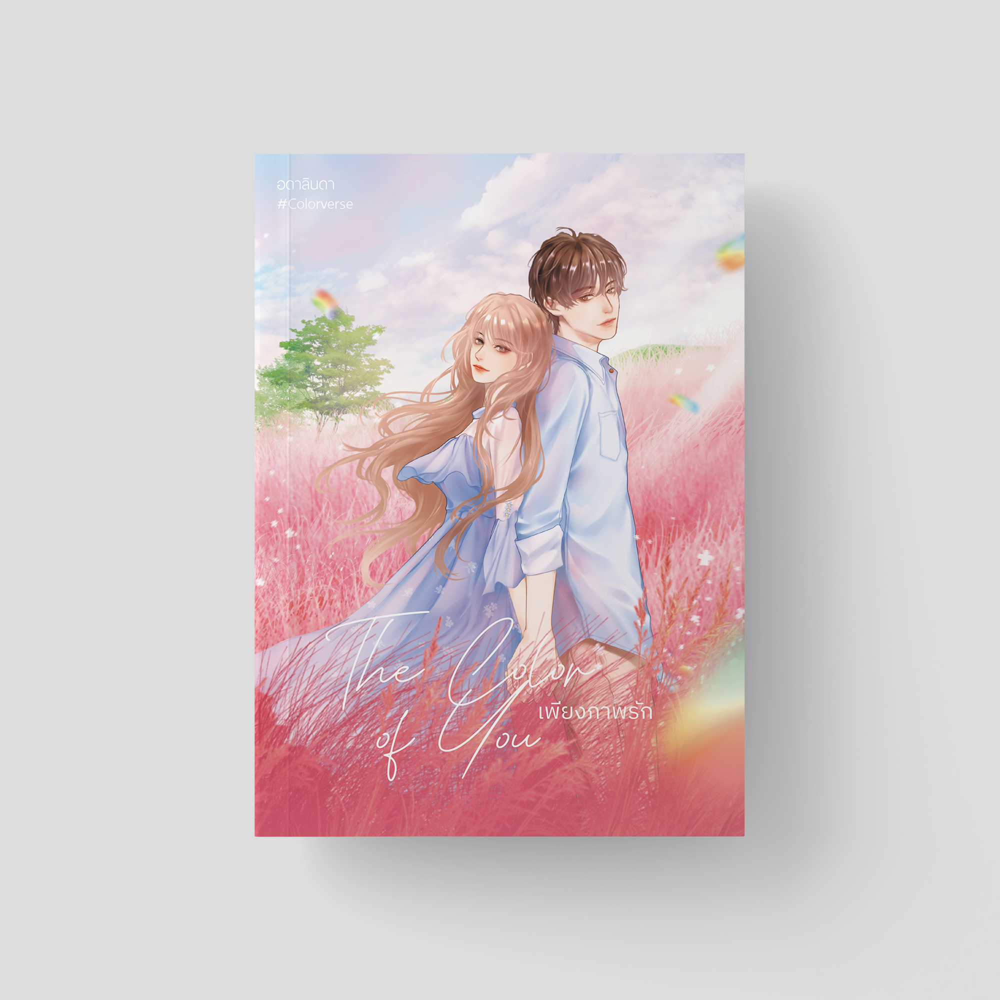 The Color of You เพียงภาพรัก - ปกแข็ง
