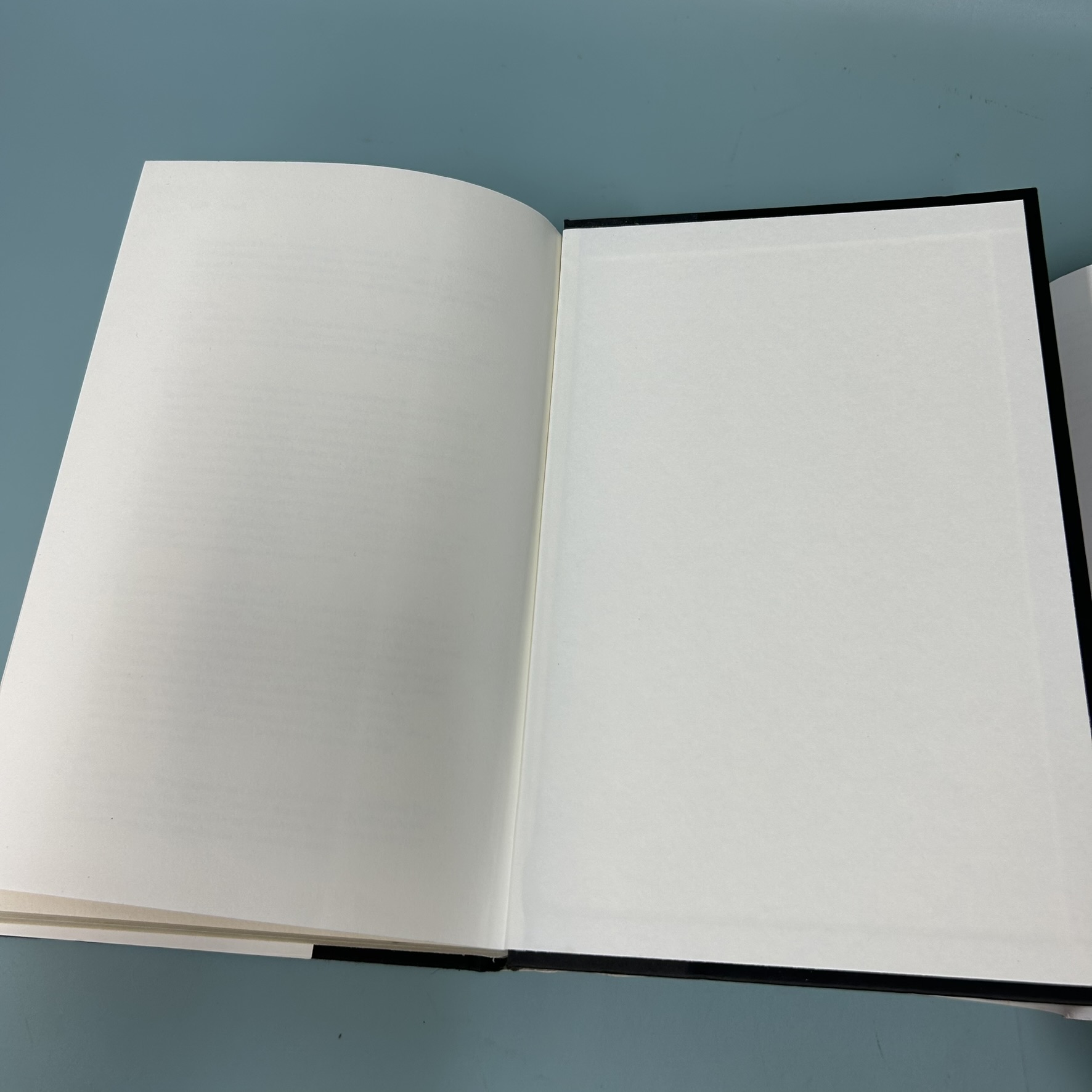 Targeted / Pre-Owned / Brittany Kaiser / บันทึกความทรงจำทางการเมือง, สารคดี