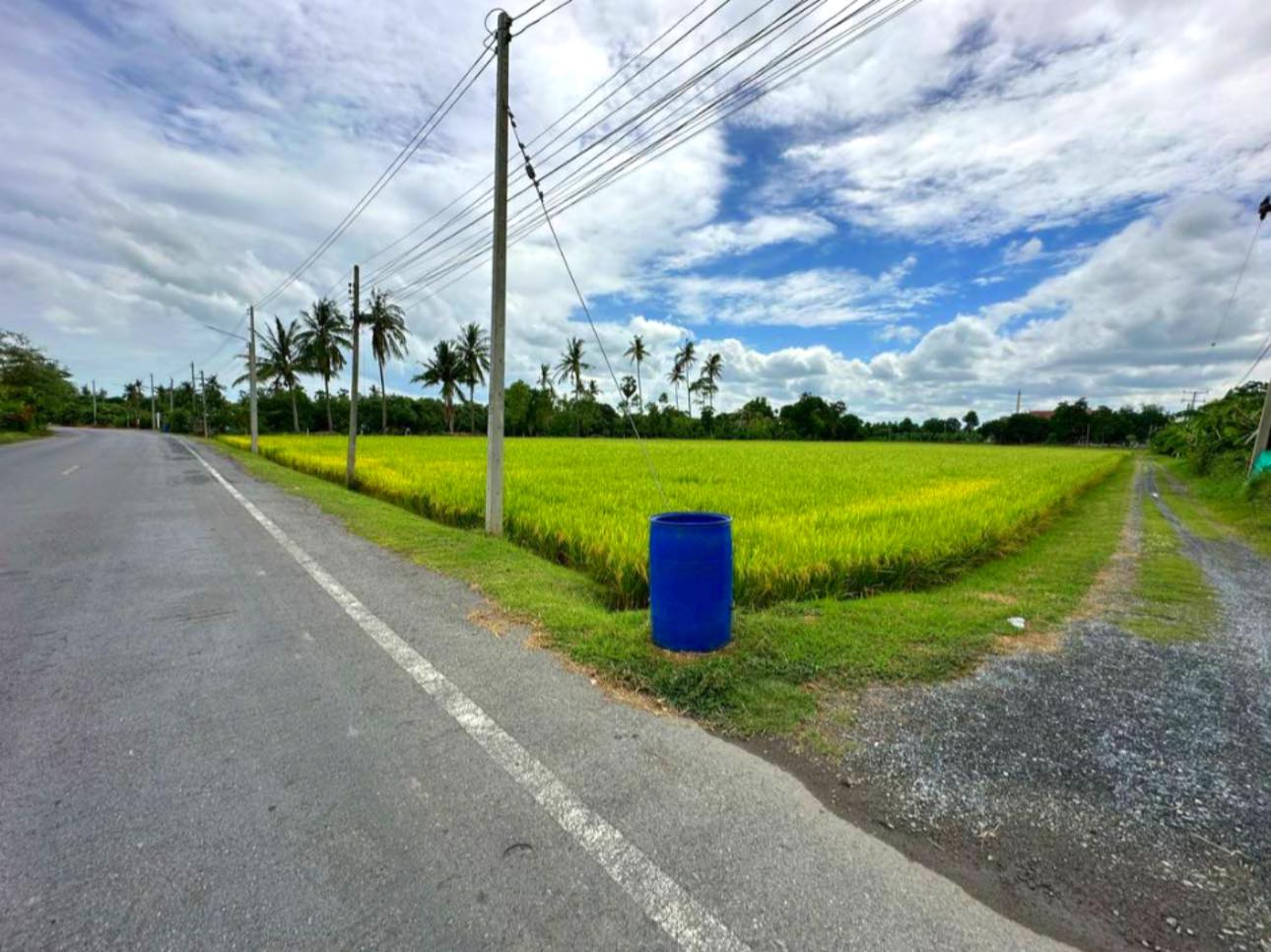 ขายที่ดินแปลงสวย ติดถนนเทศบาลท่าเสร็จ 3 ด้านหลังติดคลองท่าว้า บรรยากาศดี