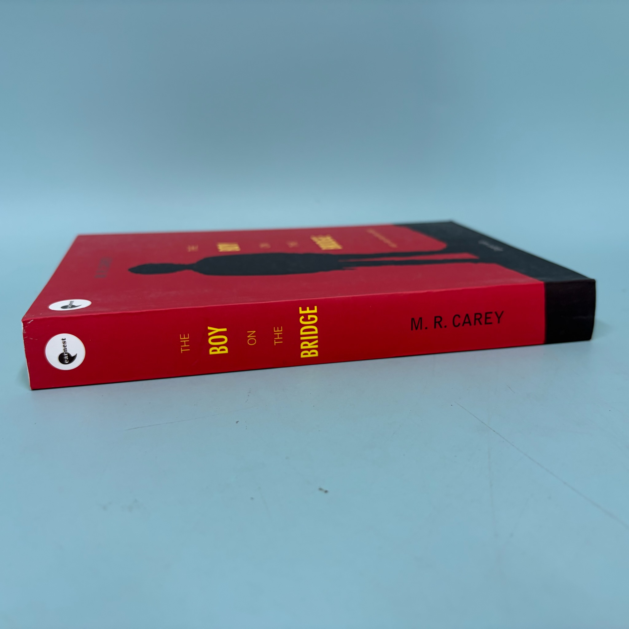 THE BOY ON THE BRIDGE เดอะ บอย ออน เดอะ บริดจ์ / มือสอง / เอ็ม.อาร์ แครีย์ / เอิร์นเนส พับลิชชิ่ง / นิยาย แฟนตาซี