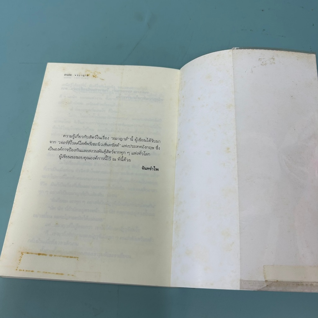 อมาญาส์ / จันทรำไพ/ มือสอง / มติชน / นิยายโรแมนติก