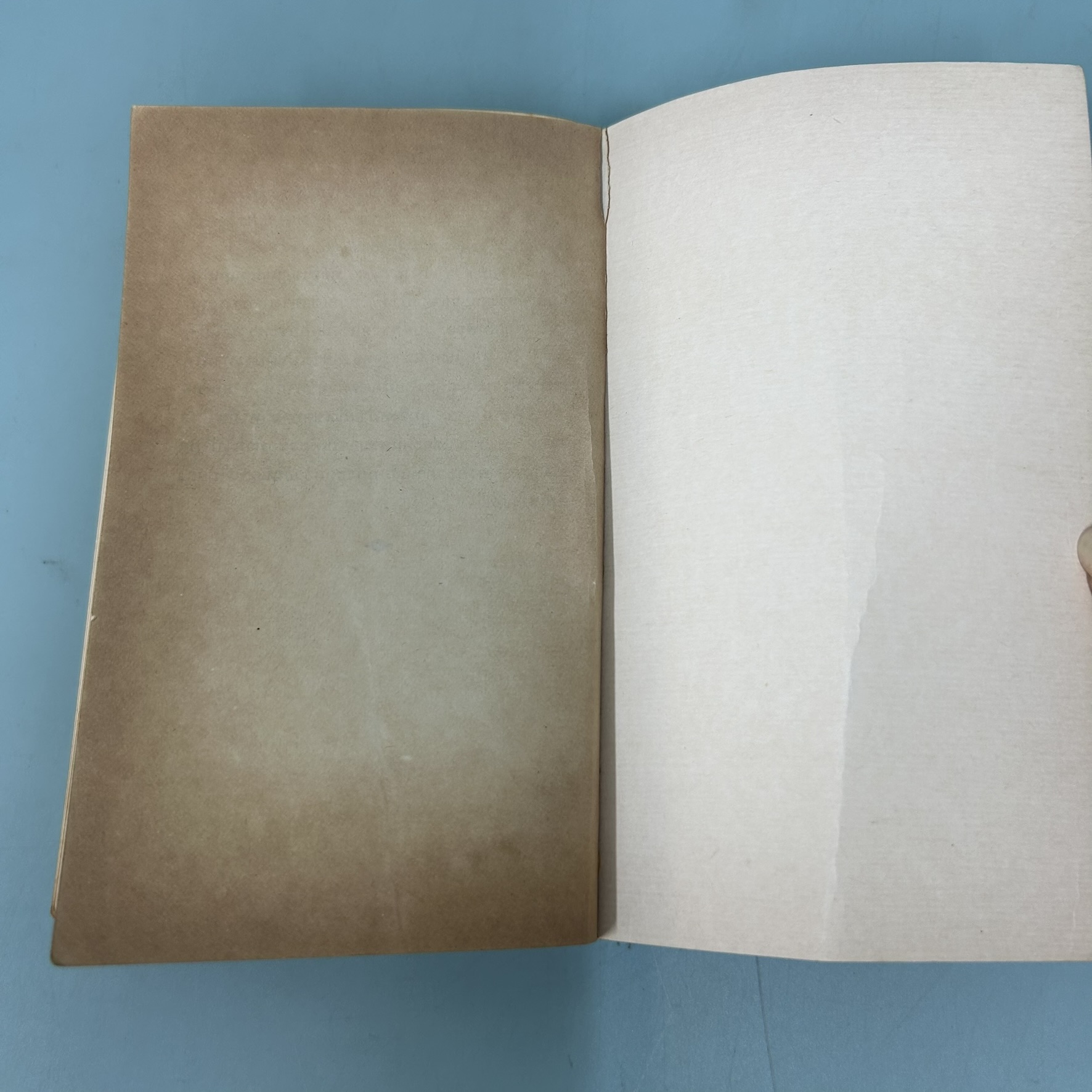 ตำนานเทพปรมาจารย์ / มือสอง / รัถยา สารธรรม / สำนักพิมพ์หยินหยาง / ประวัติศาสตร์