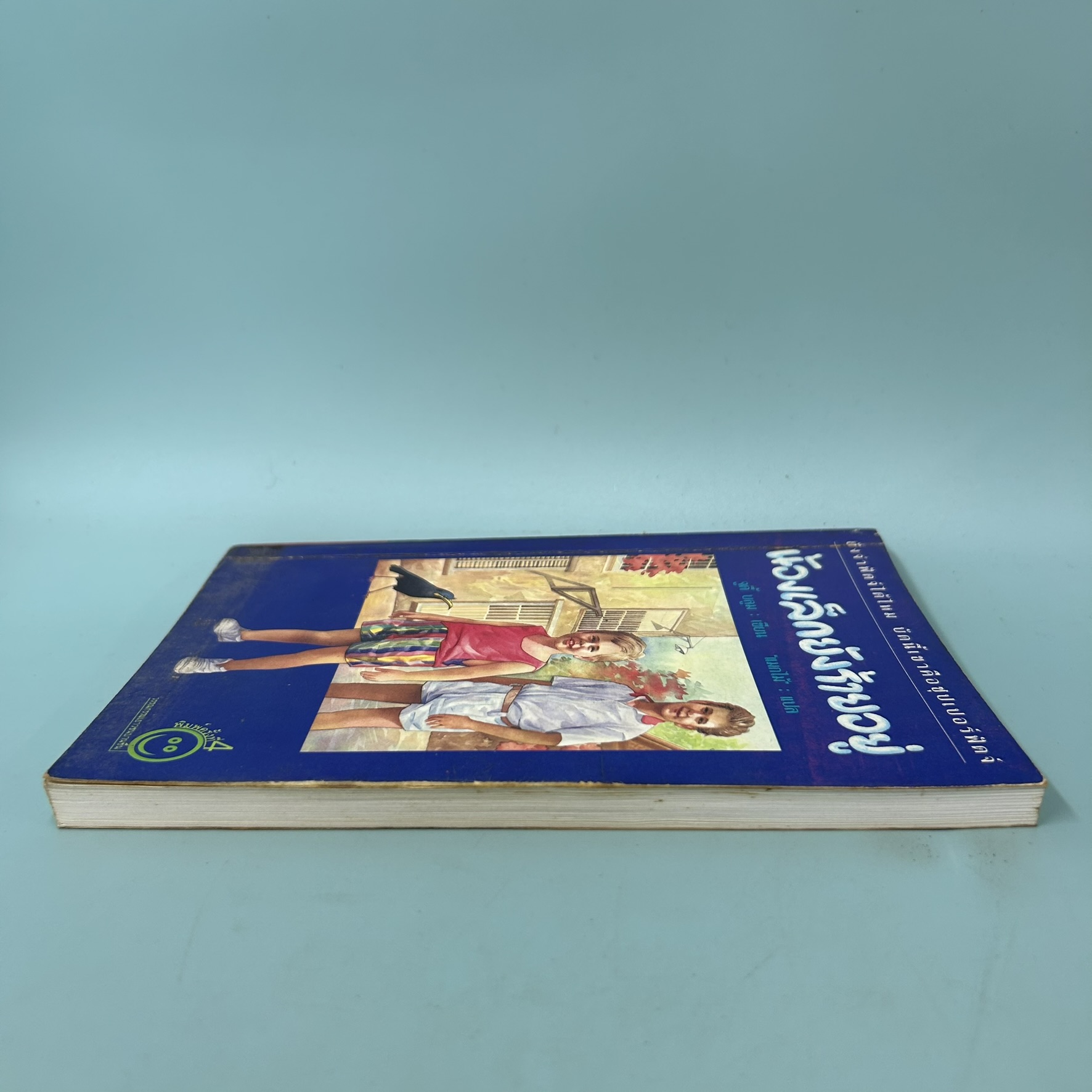 น้องเล็กยังร้ายอยู่ / มือสอง / จูดี้ บลูม / สำนักพิมพ์บานชื่น / วรรณกรรมเยาวชน