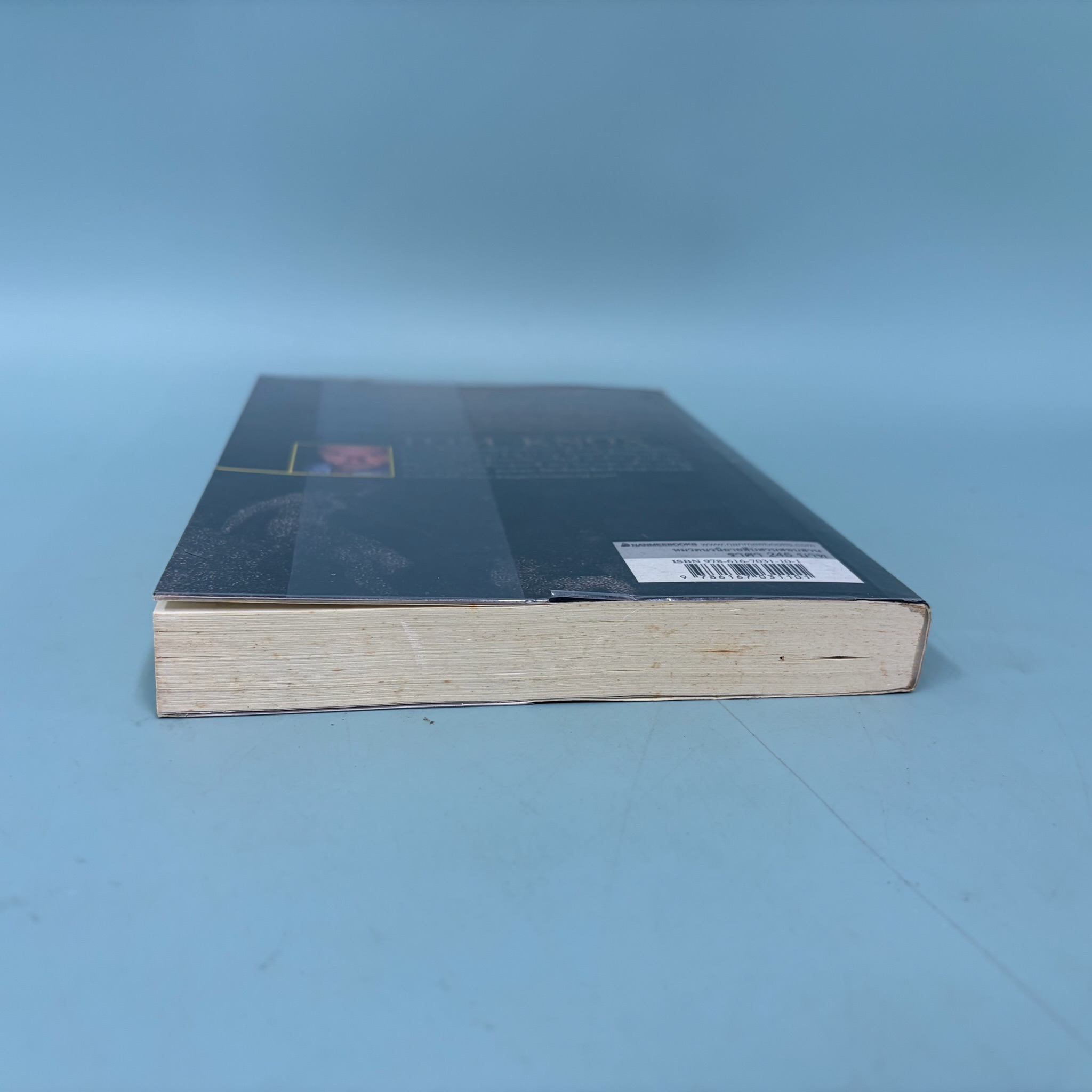 ปริศนาปฐมคัมภีร์ The Genesis Secret / ทอม น็อกซ์ / มือสอง / นิยายแปล