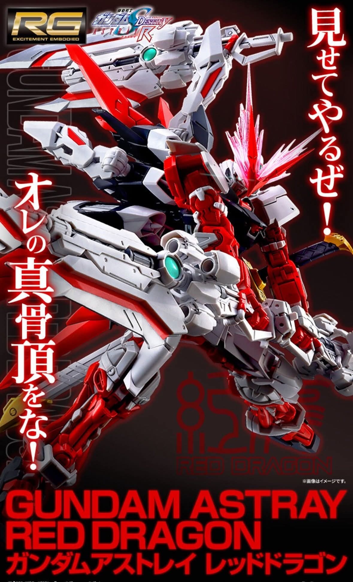 [PRE-ORDER / ARP 69] RG PREMIUM BANDAI MBF-P02 Gundam Astray RED DRAGON